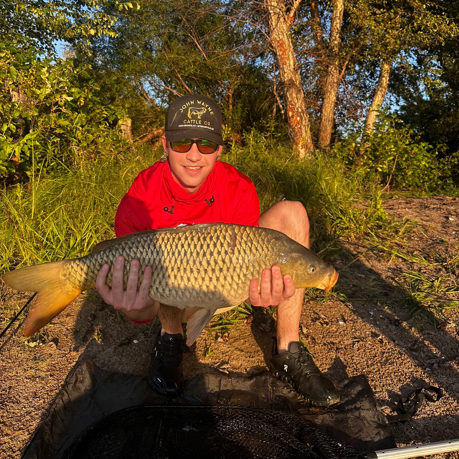 Common carp caught on Fishbrain
