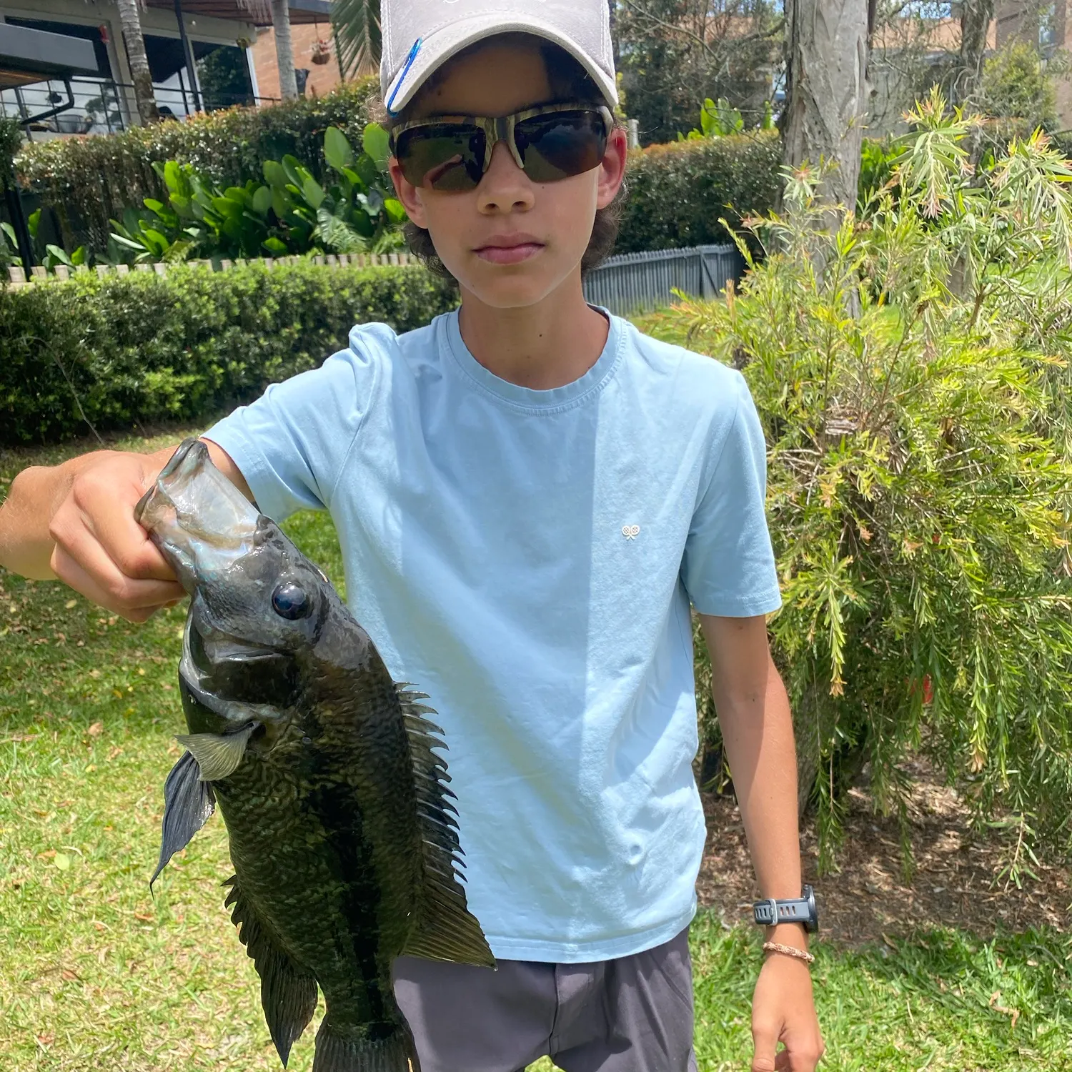 The most recent Turquoise cichlid catches on Fishbrain
