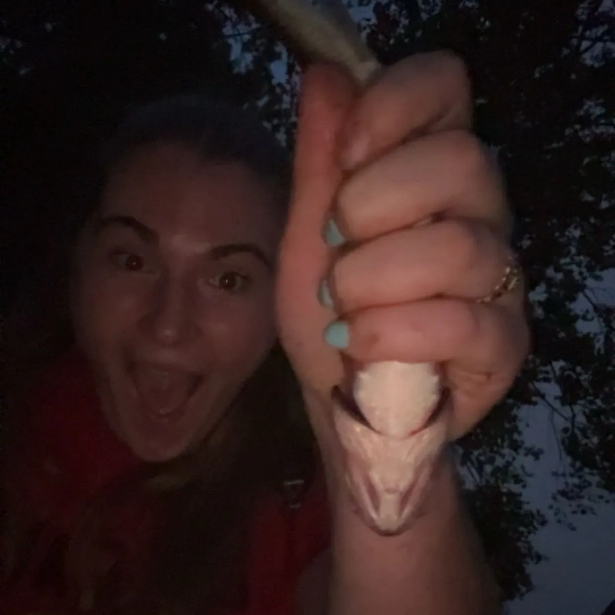Fallfish caught on Fishbrain