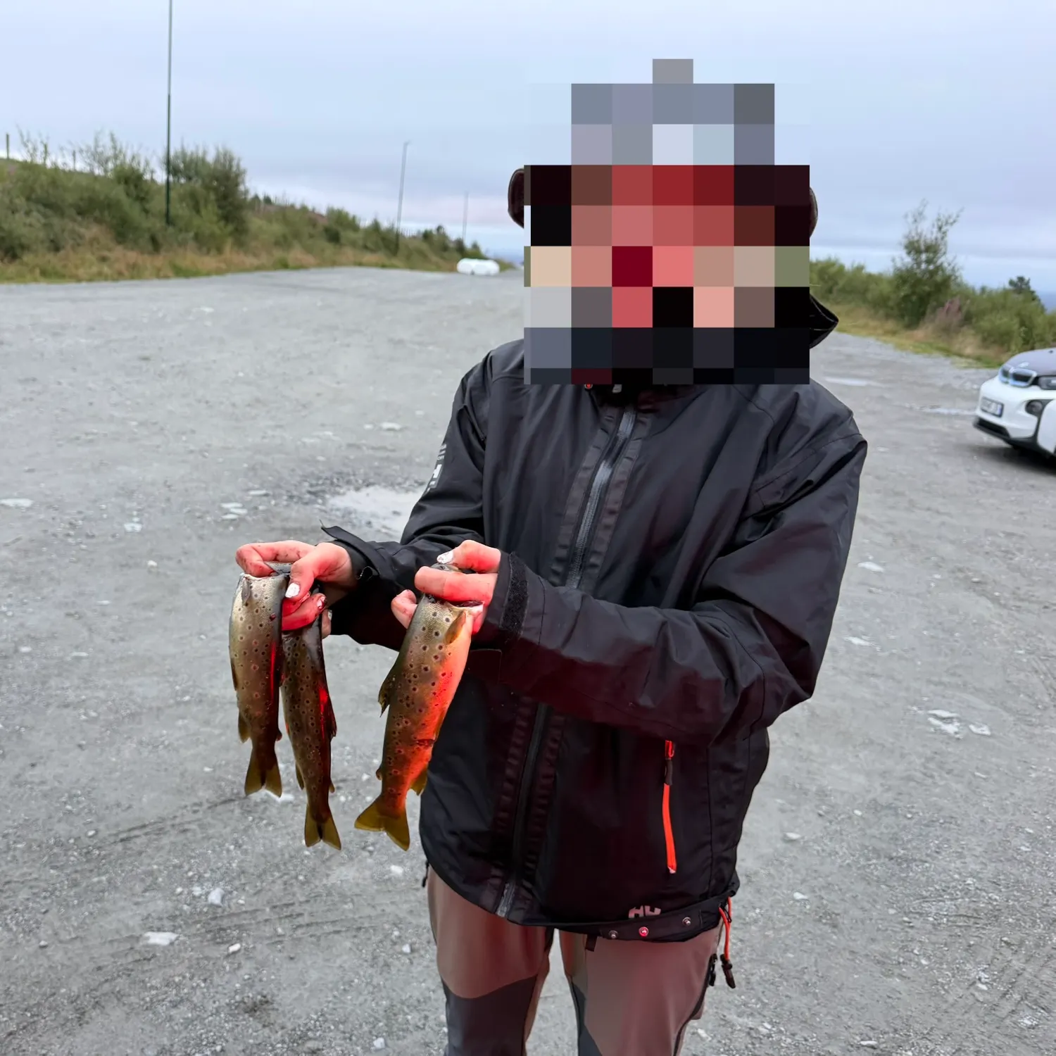 Lake trout caught on Fishbrain