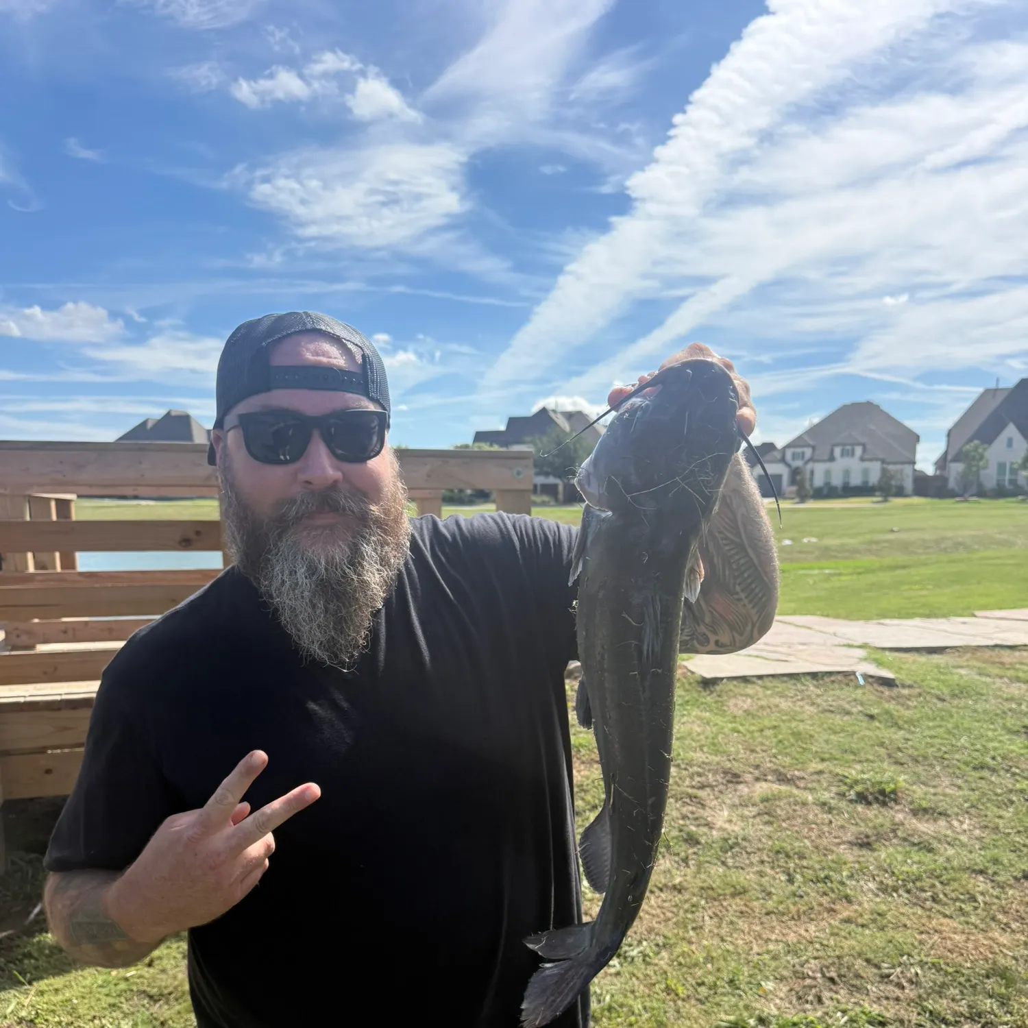 Channel catfish caught on Fishbrain