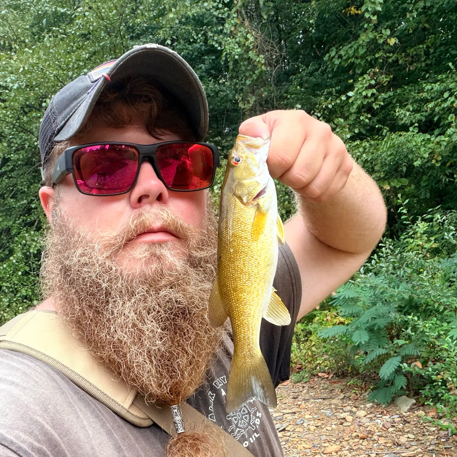 Smallmouth bass caught on Fishbrain