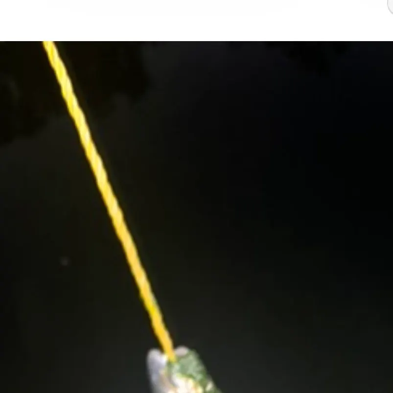 Channel catfish caught on Fishbrain