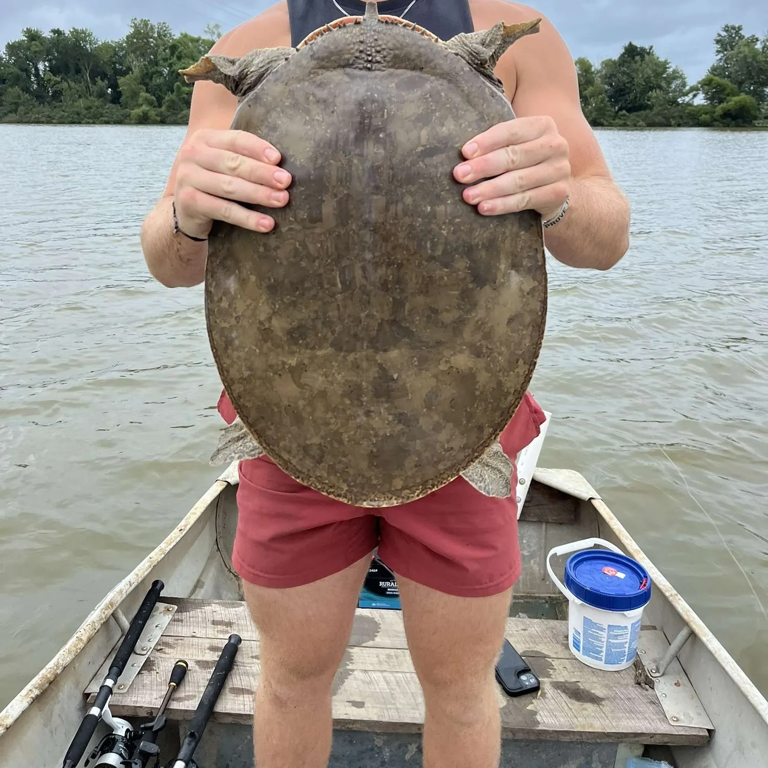The most recent Spiny softshell turtle catches on Fishbrain