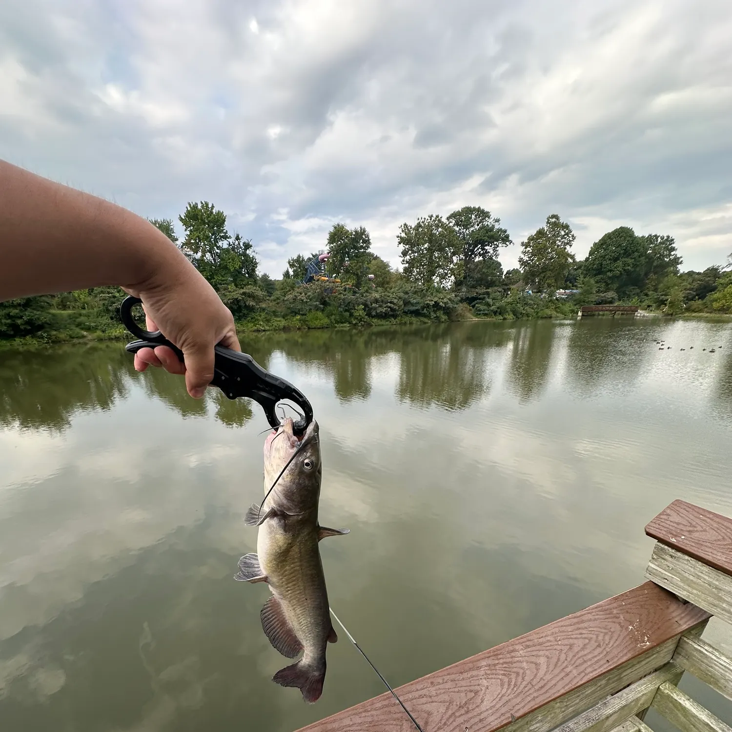 catch