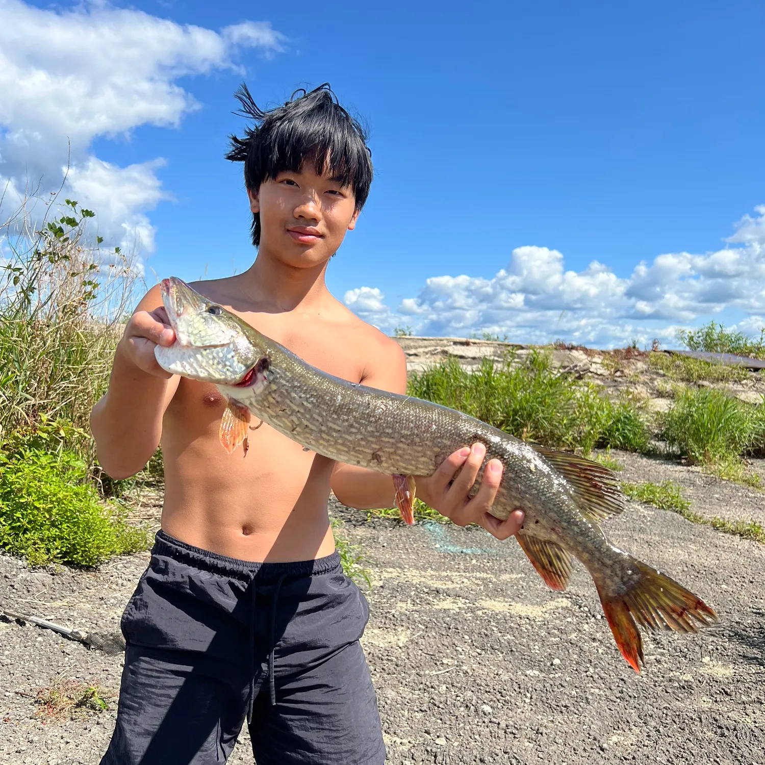 catch