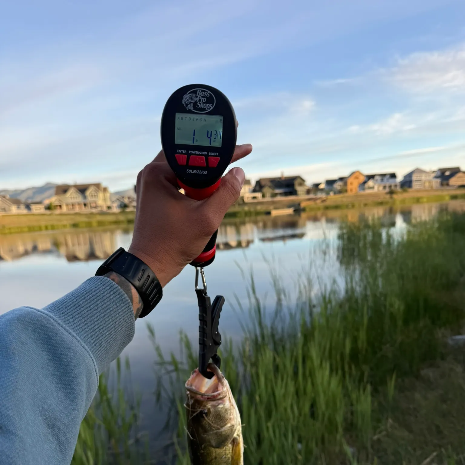 catch