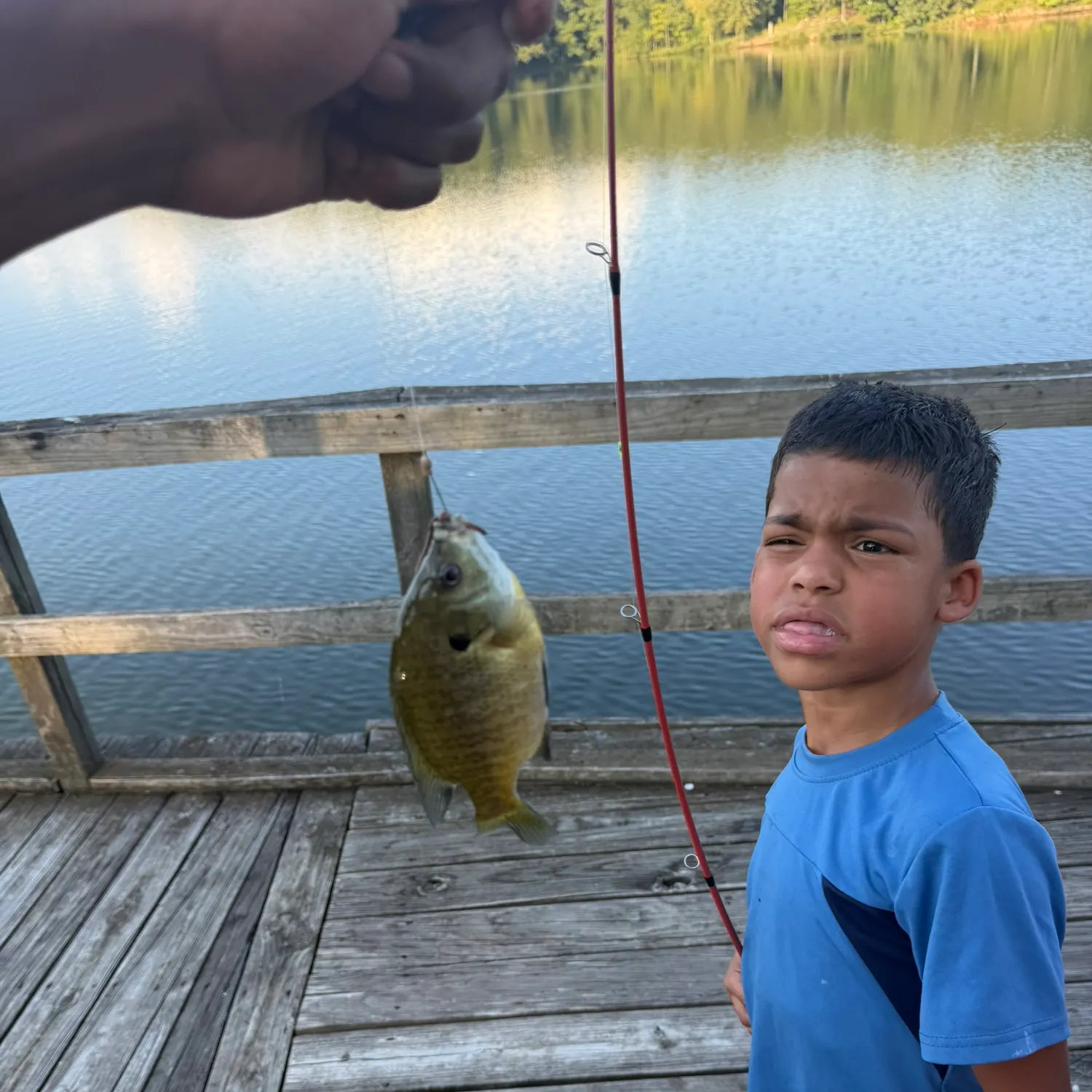 Fish caught on Fishbrain