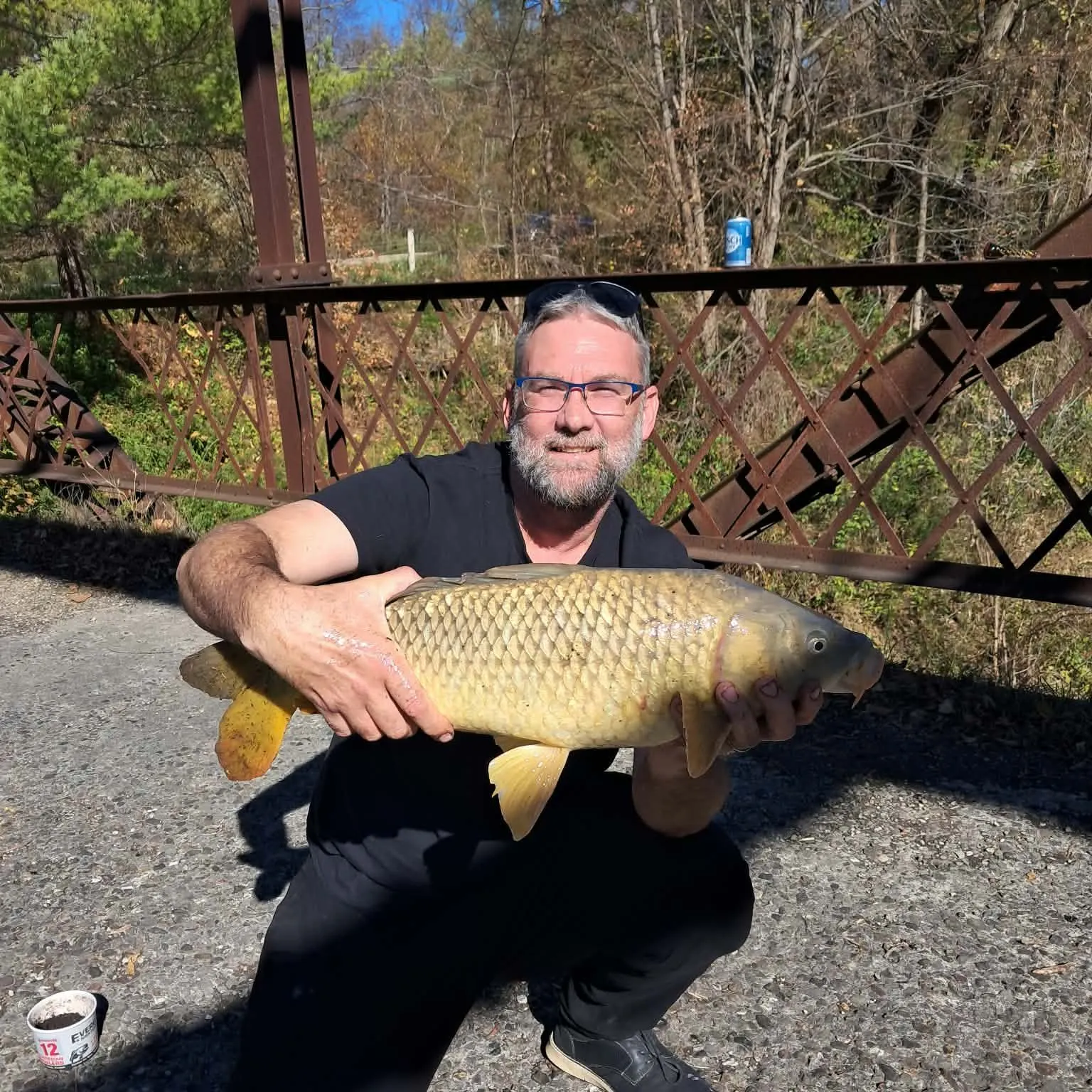 Common carp caught on Fishbrain