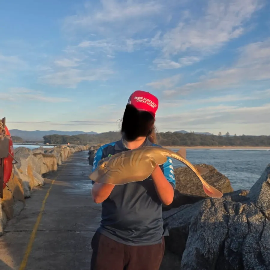 The most recent Southern fiddler catches on Fishbrain
