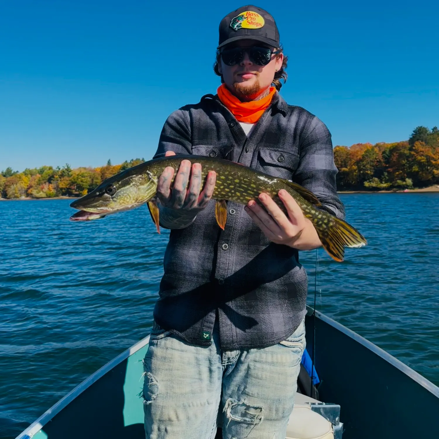 Northern pike caught on Fishbrain
