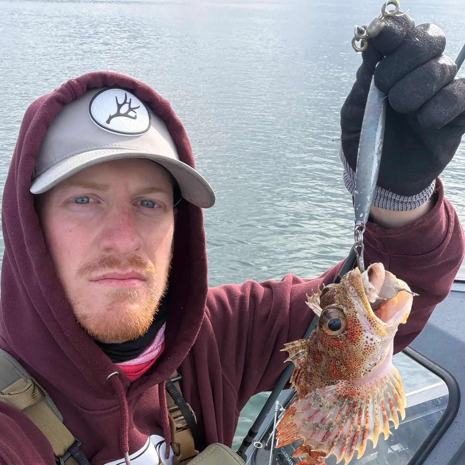 The most recent Spinyhead sculpin catches on Fishbrain