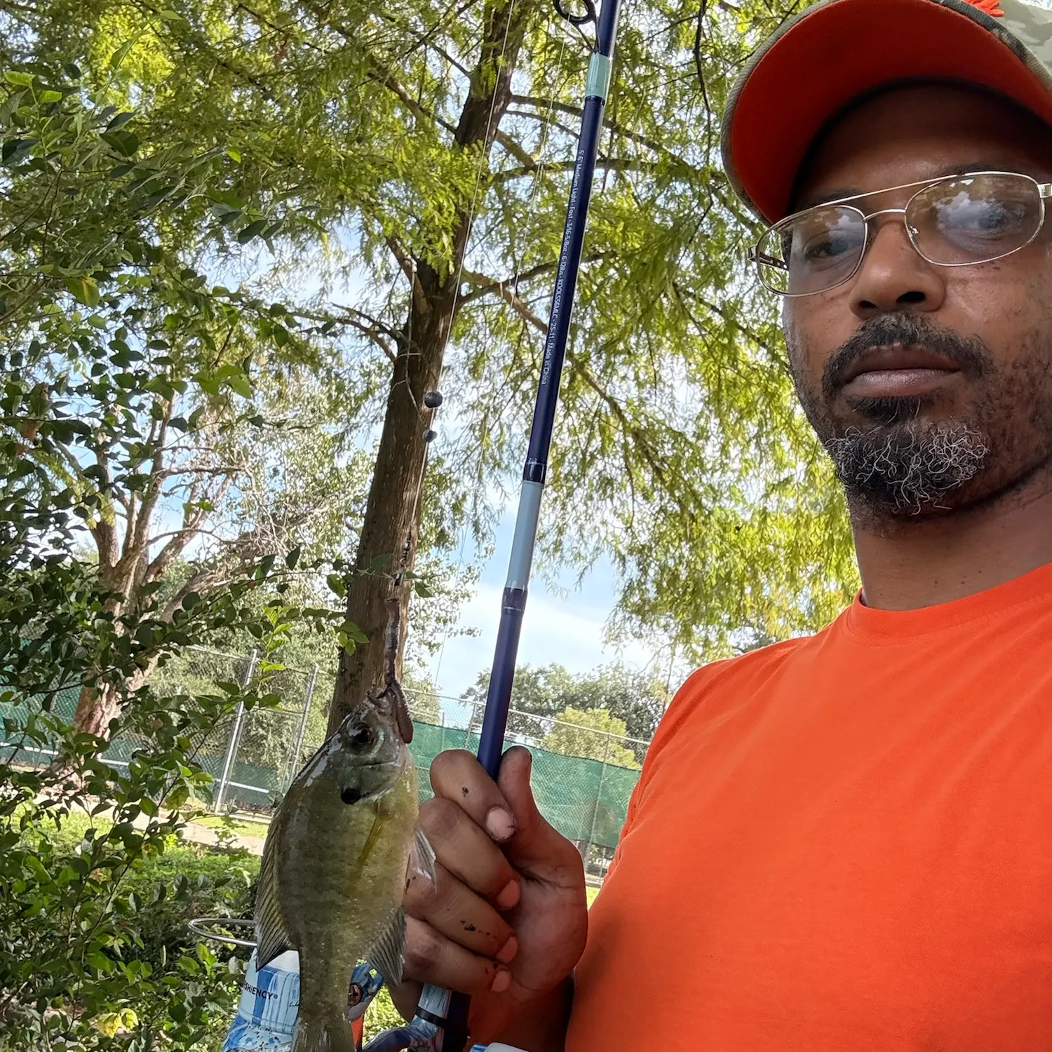 Bluegill caught on Fishbrain