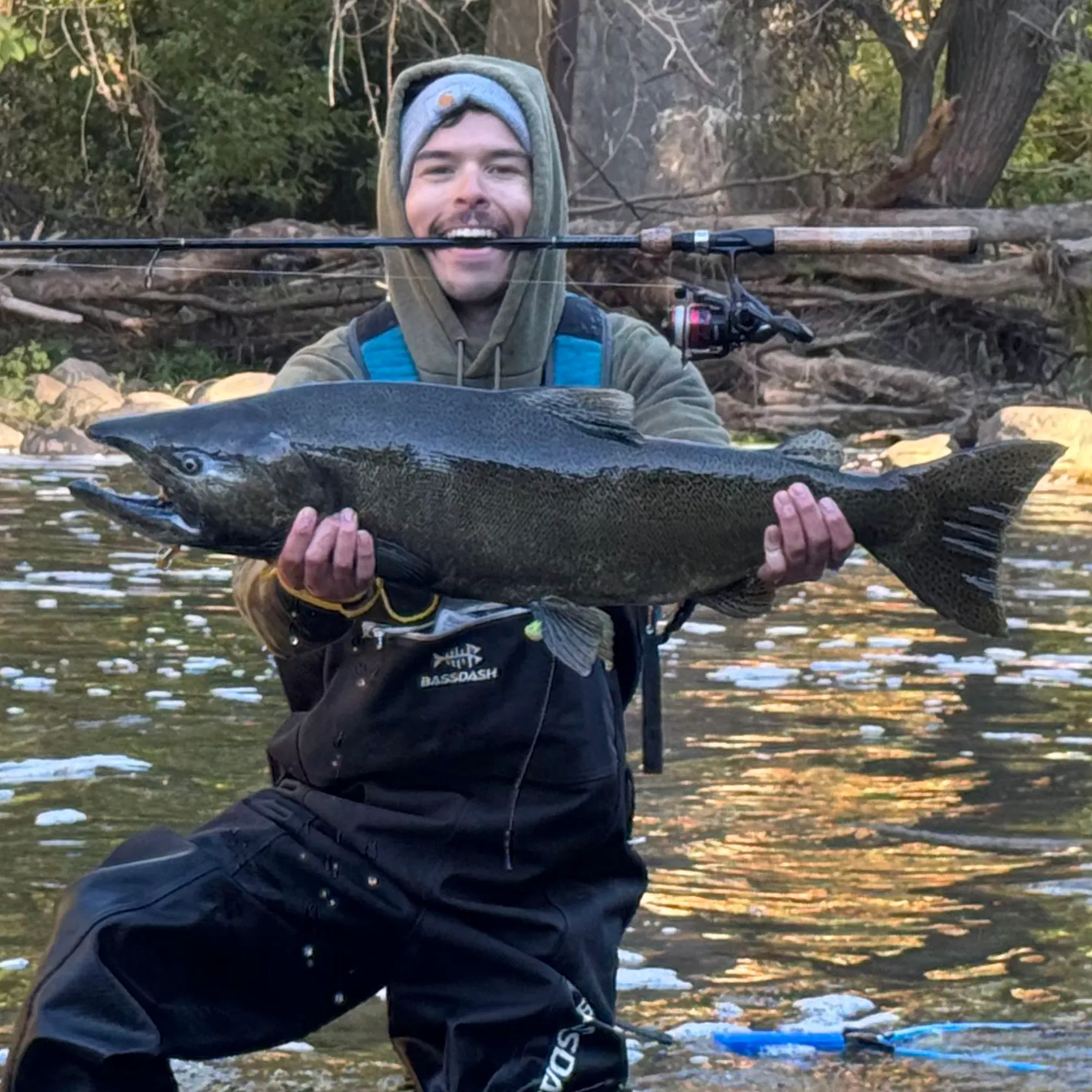 Chinook salmon caught on Fishbrain
