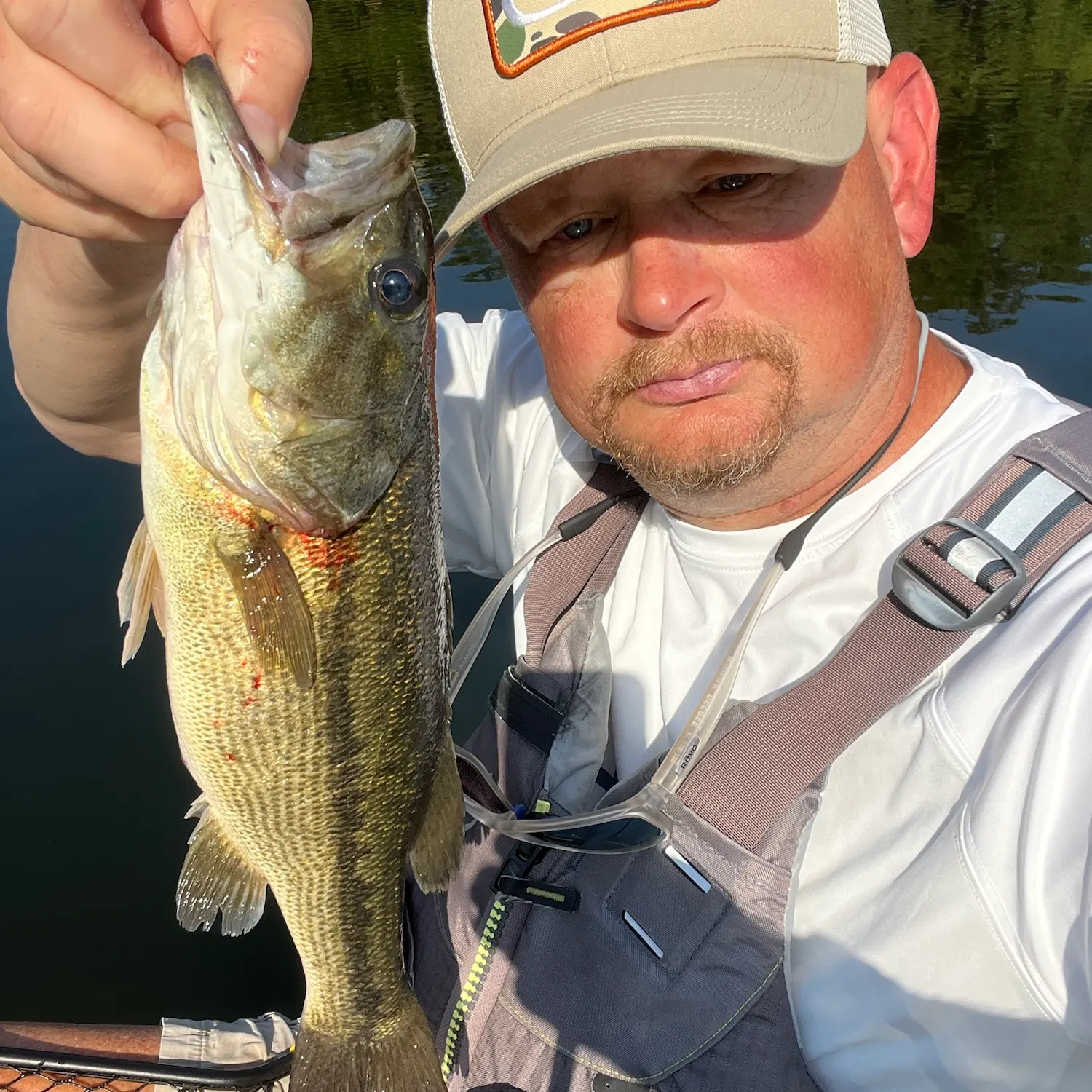 Spotted bass caught on Fishbrain