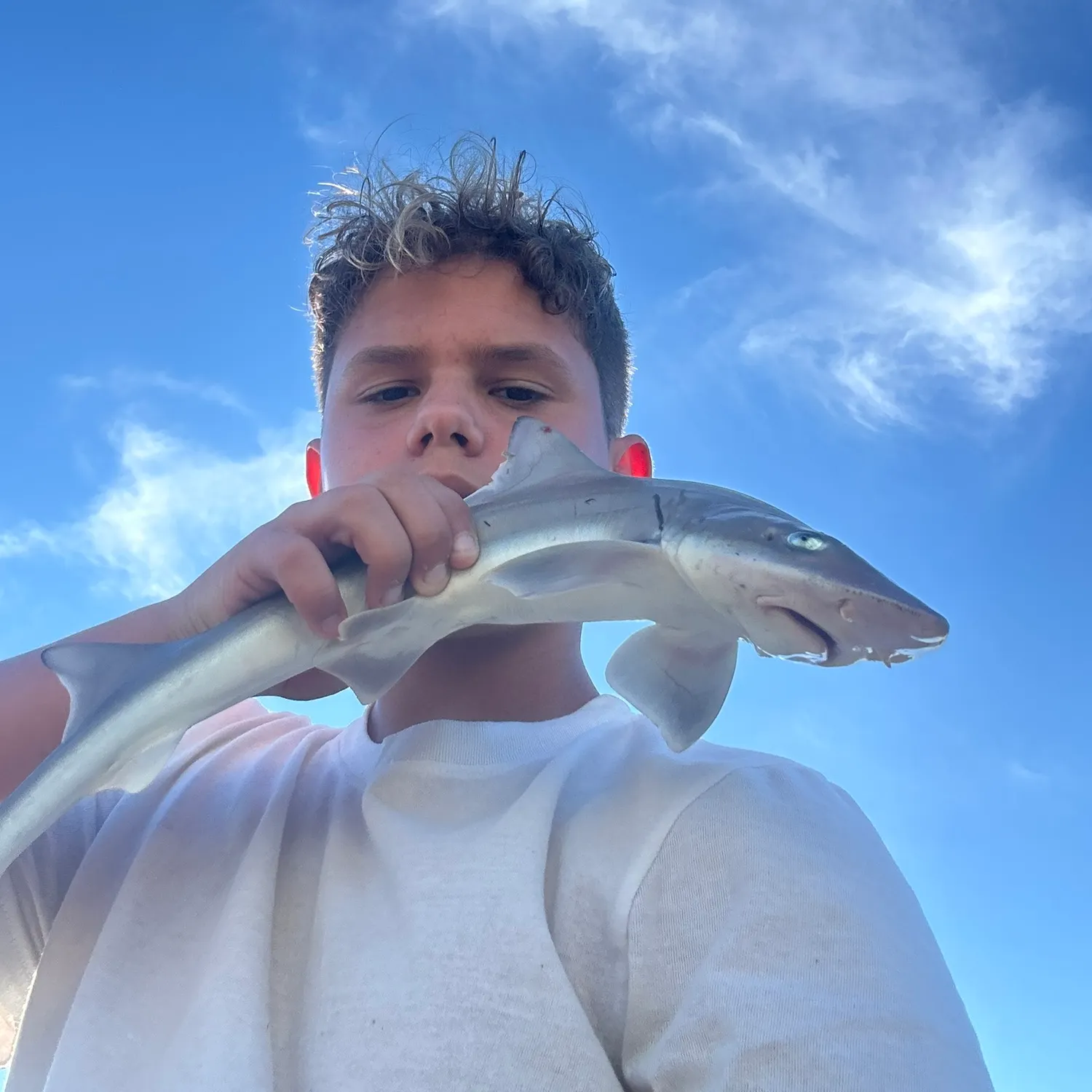 Fish caught on Fishbrain