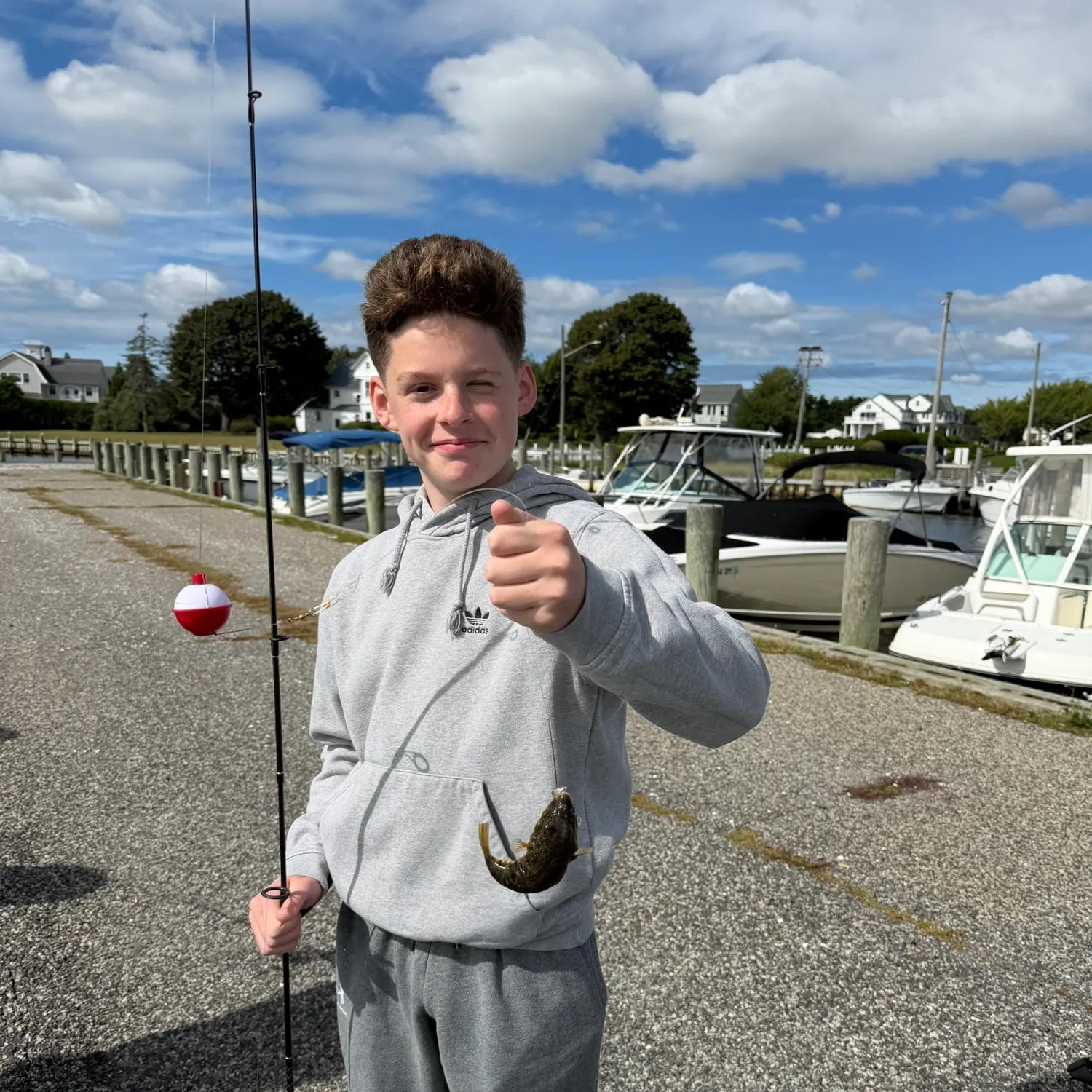 Northern puffer caught on Fishbrain