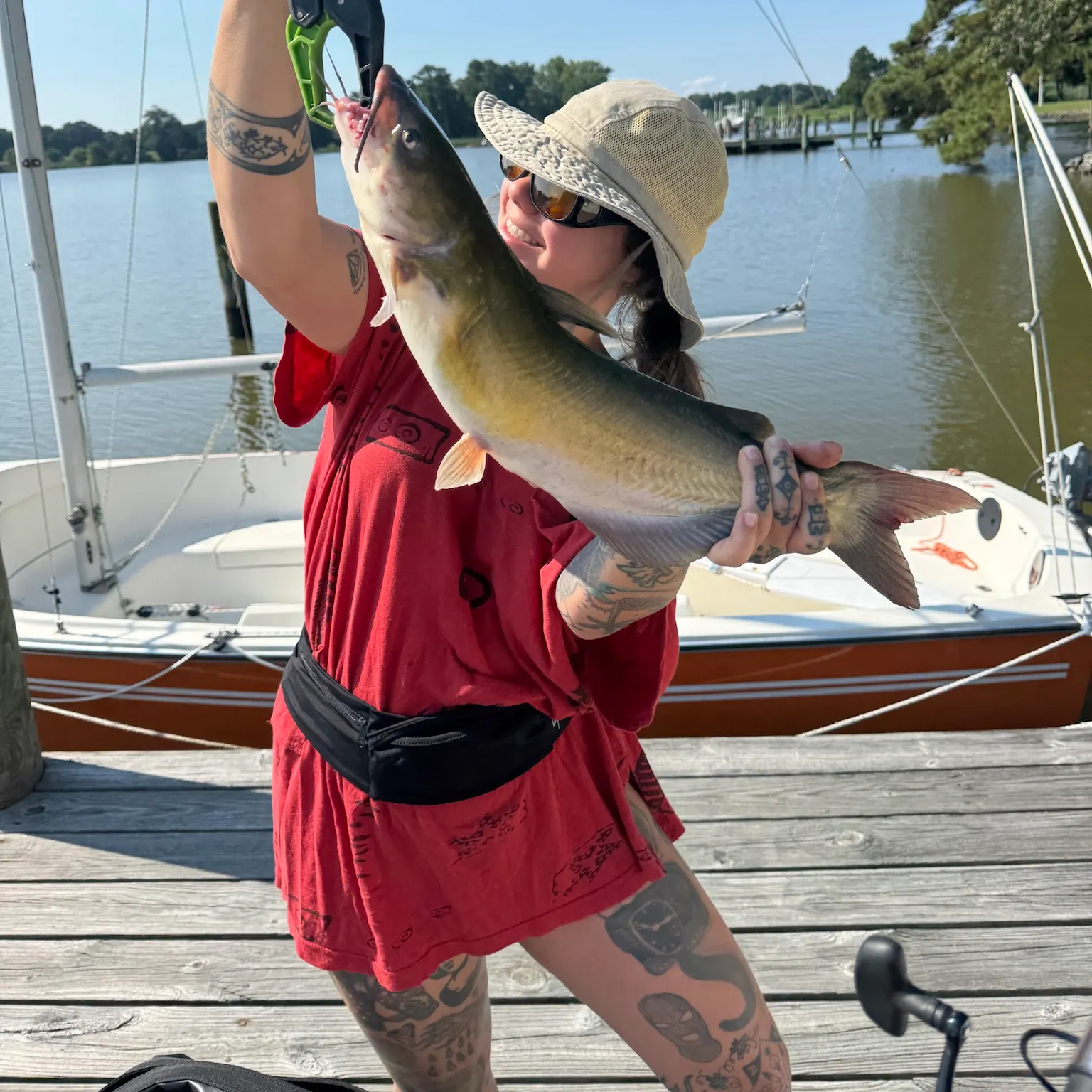 recently logged catches