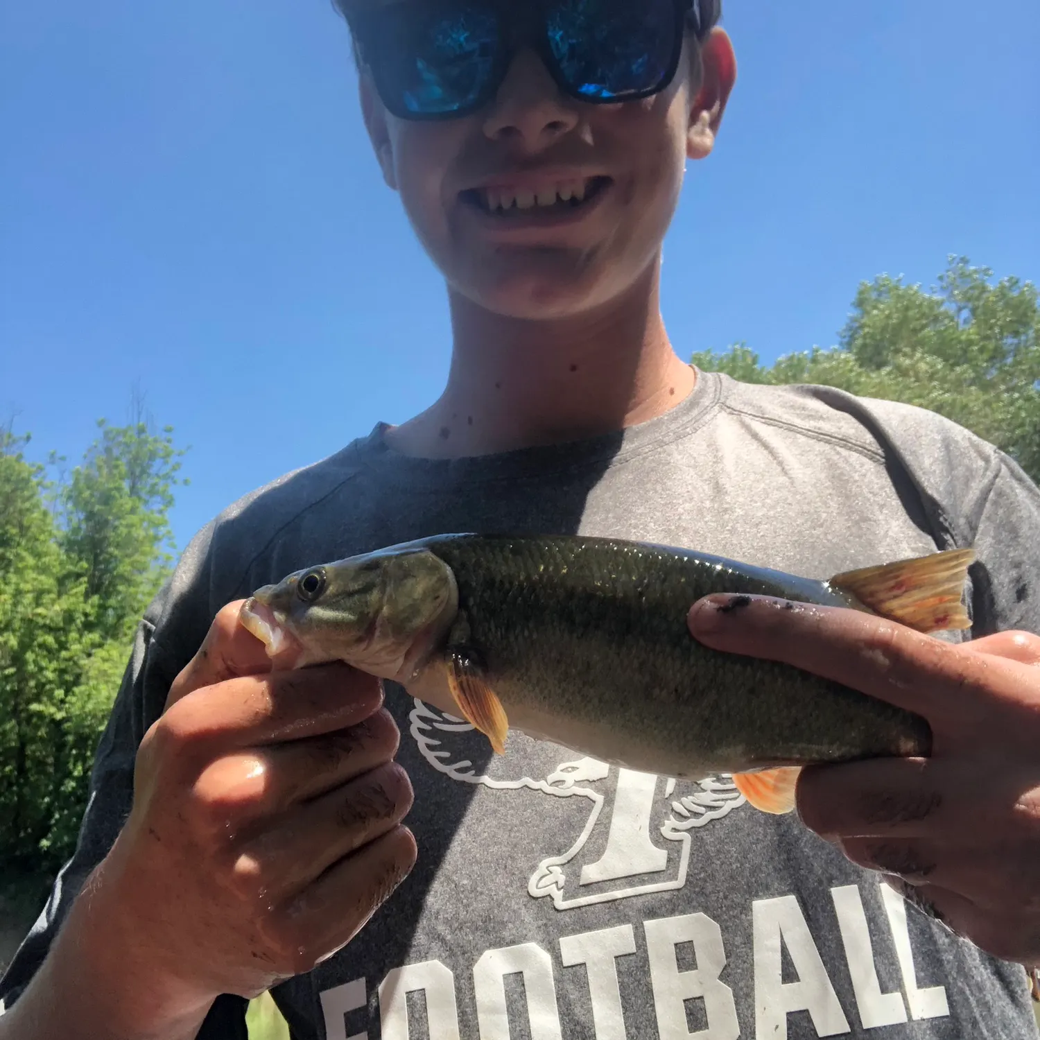 The most recent Sacramento pikeminnow catches on Fishbrain