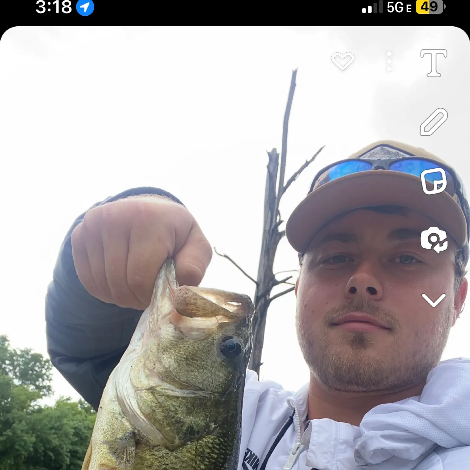 recently logged catches