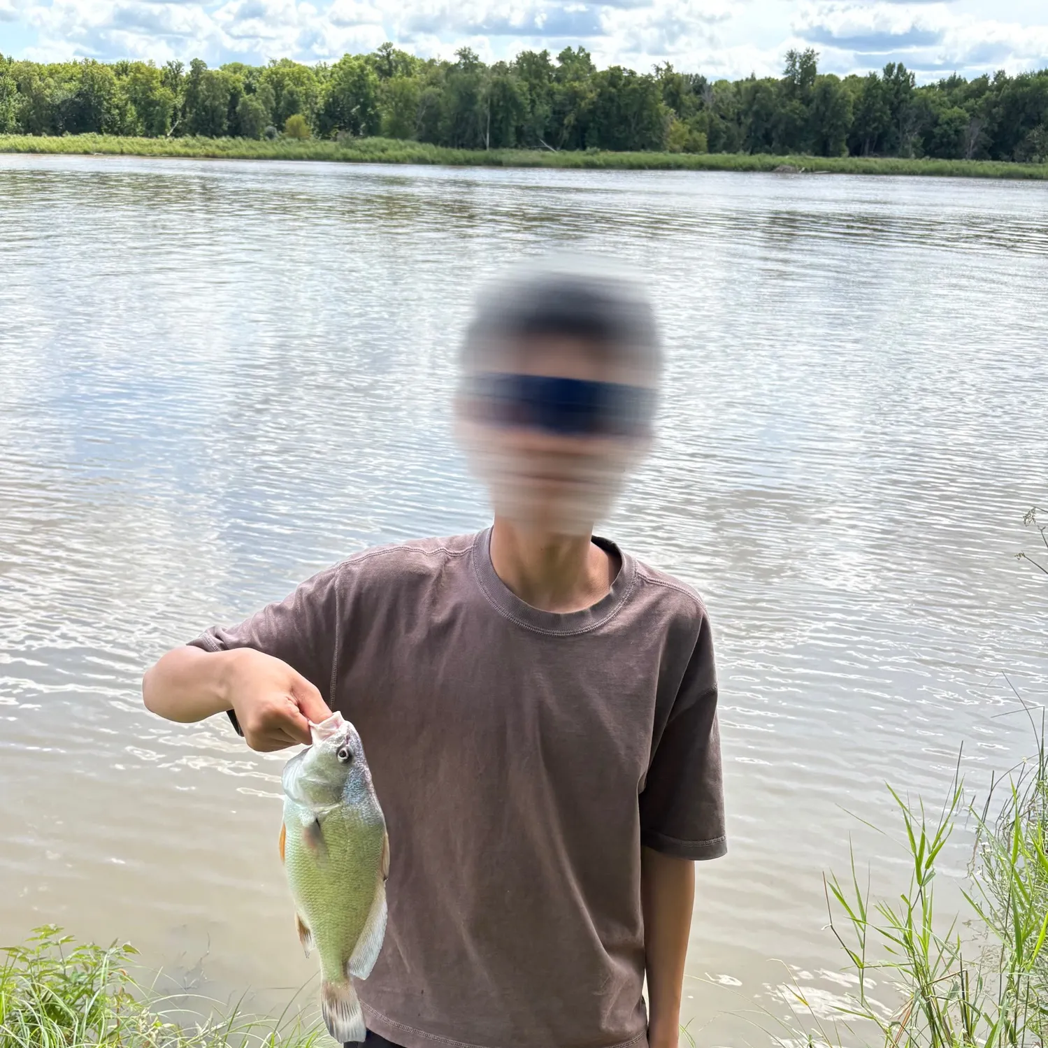 Freshwater drum caught on Fishbrain