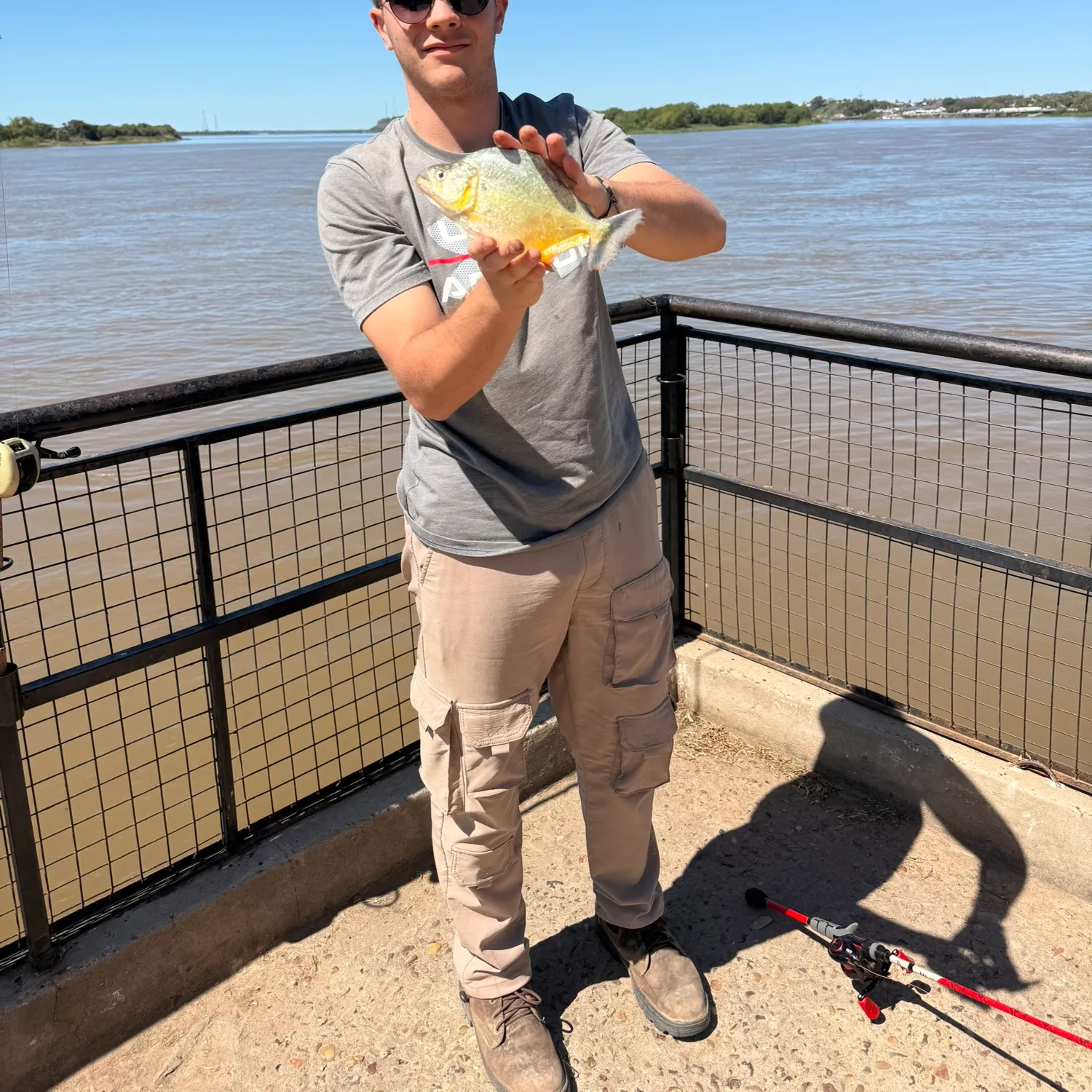 The most recent Small-scaled pacu catches on Fishbrain