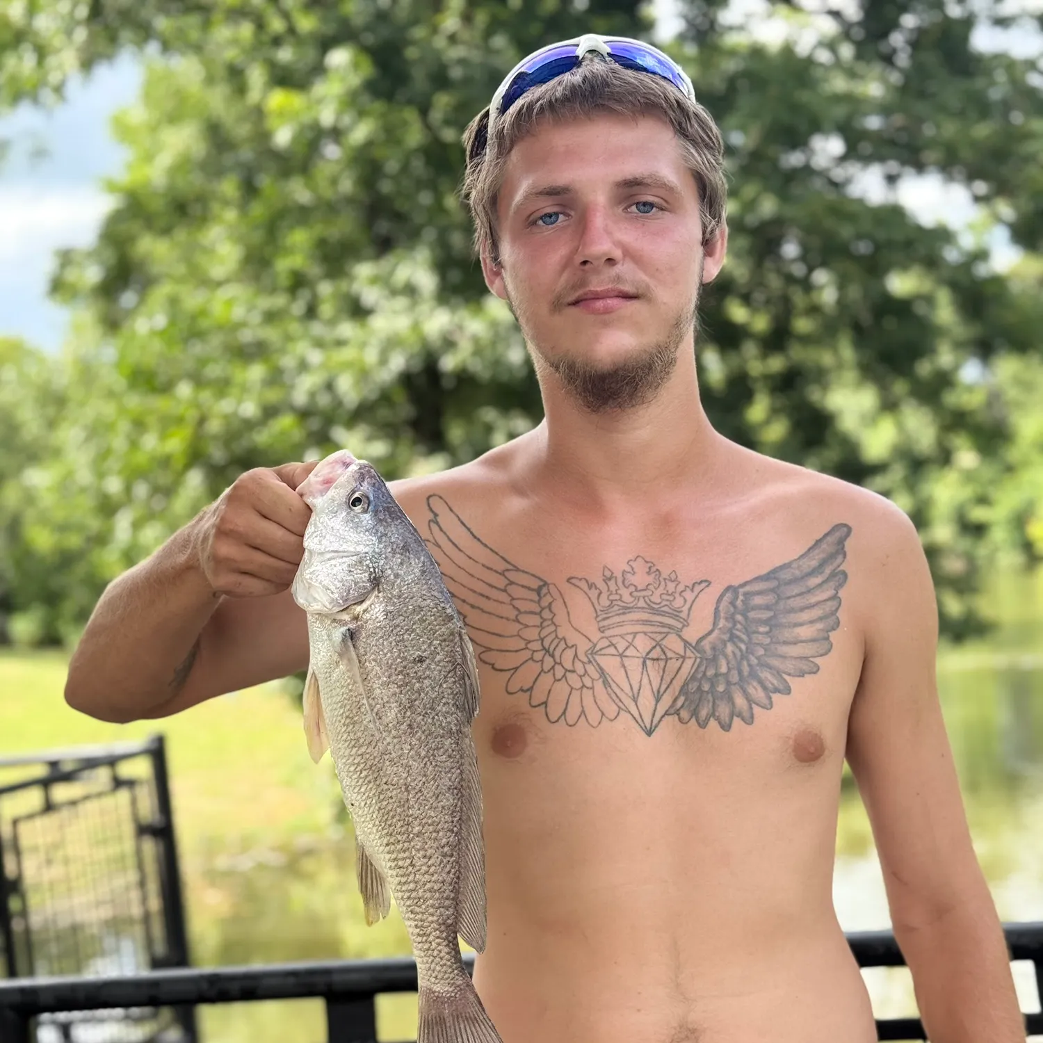 The most recent Freshwater drum catches on Fishbrain
