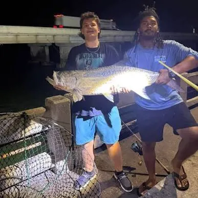 Fish caught on Fishbrain