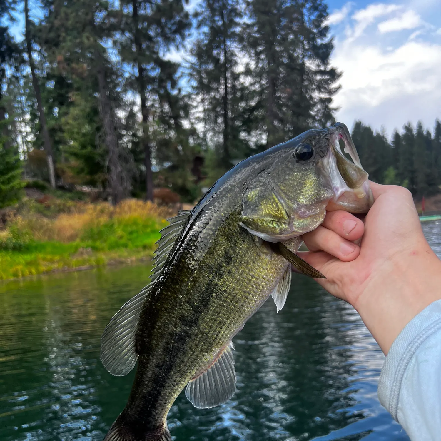 Fishing in Coeur d'Alene, ID (United States) ️️️️ Find Spots, Species ...