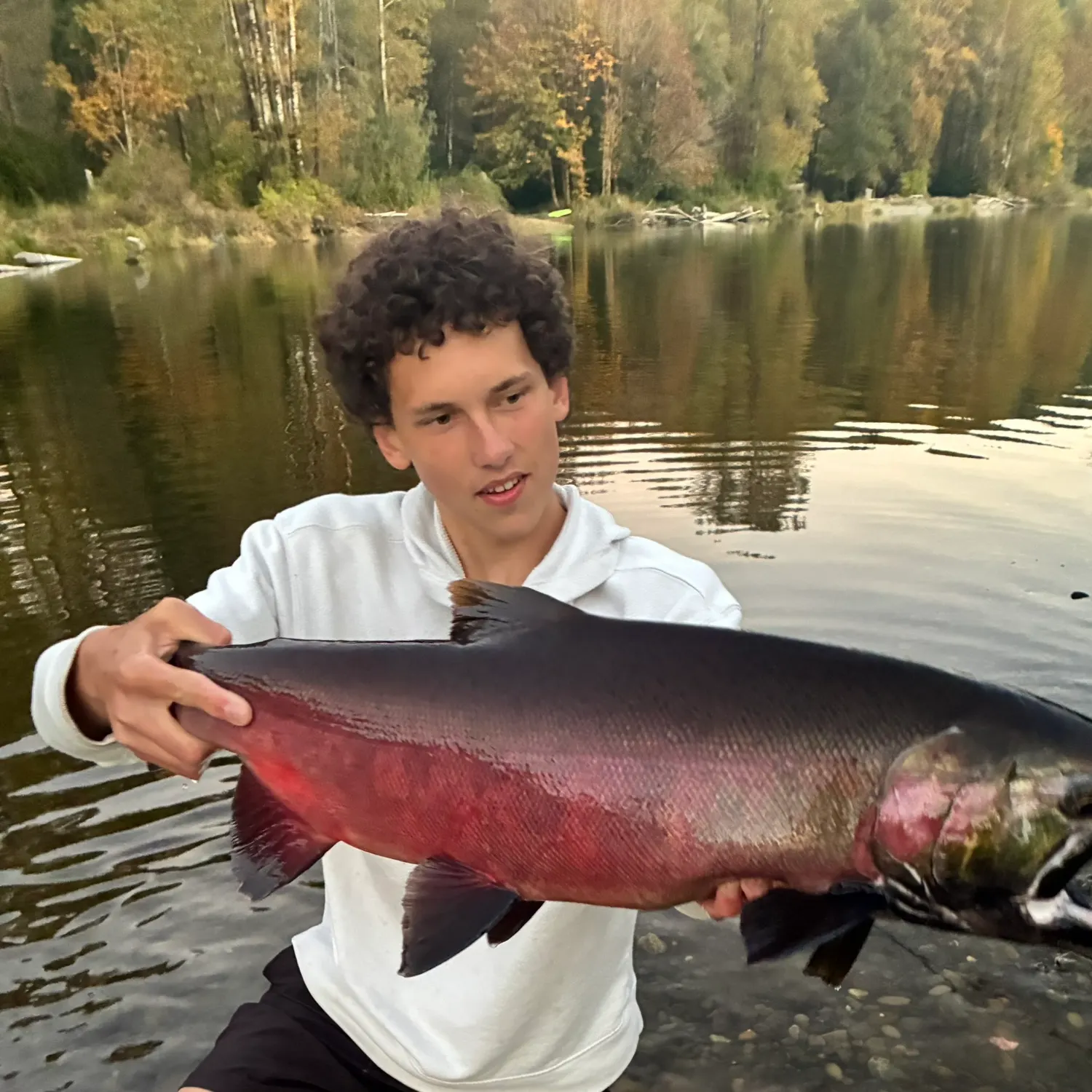 Coho salmon caught on Fishbrain