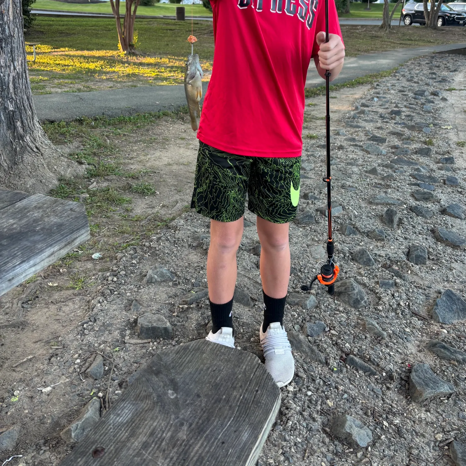 Bluegill caught on Fishbrain