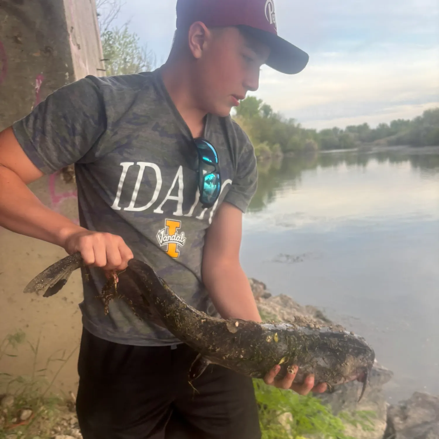 catch
