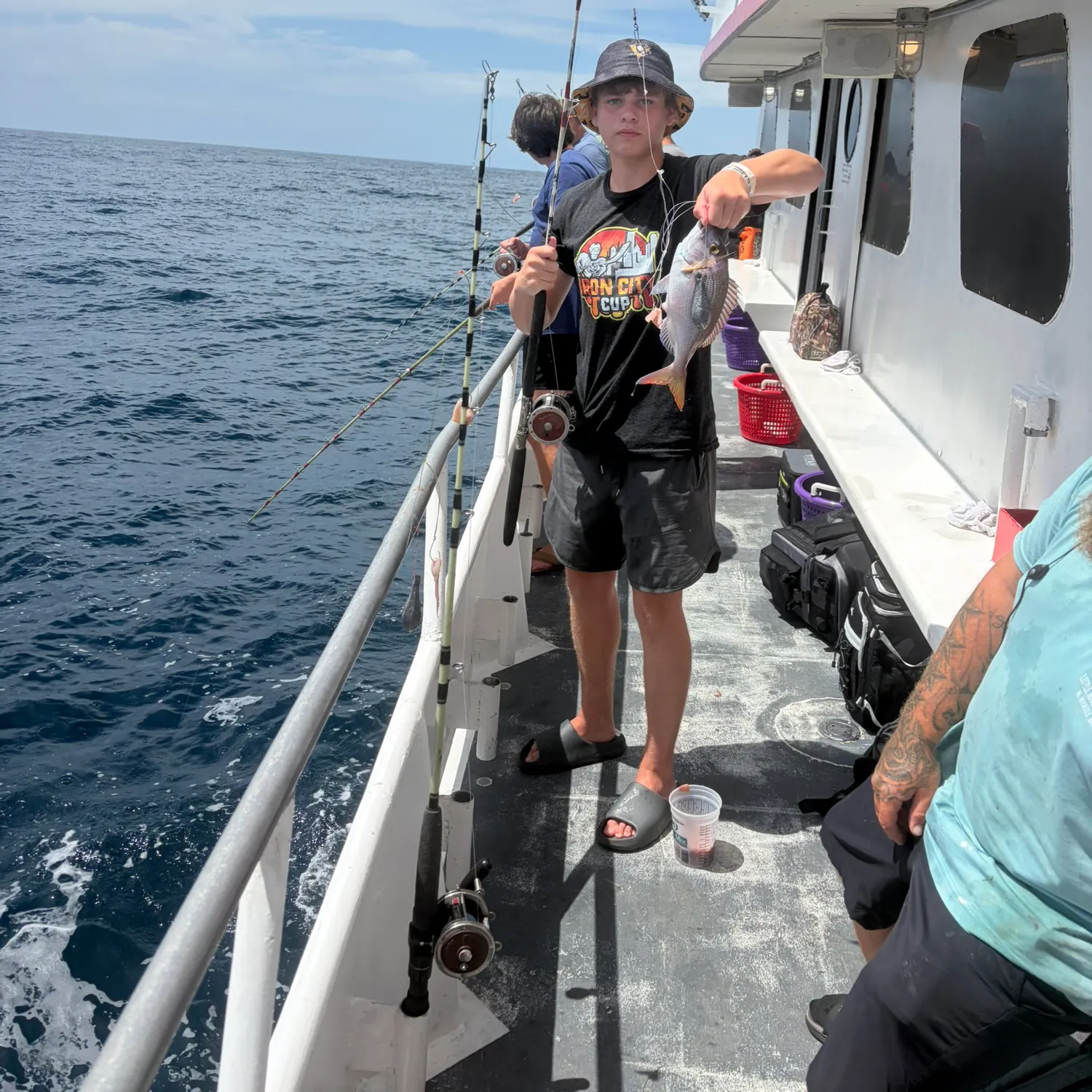 The most recent Common seabream catches on Fishbrain