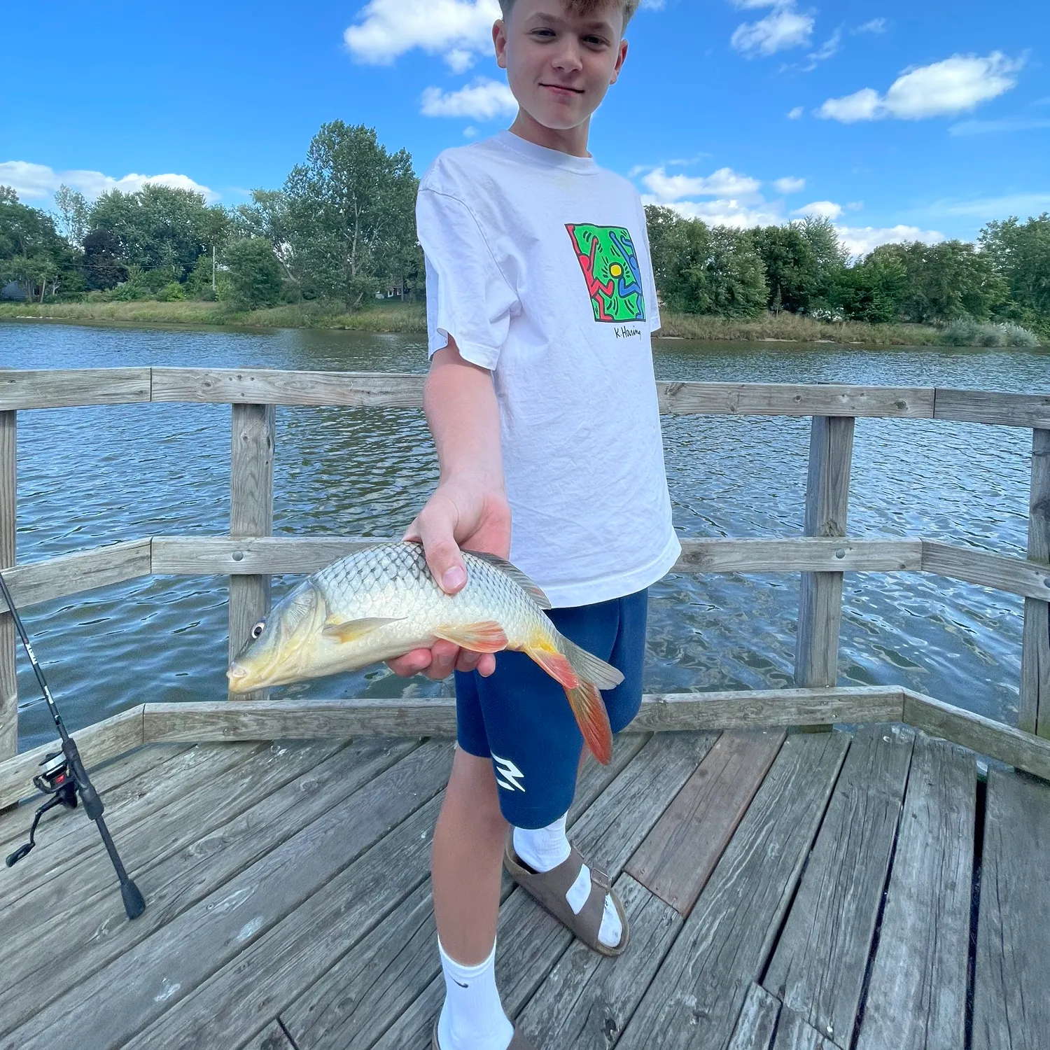 Common carp caught on Fishbrain