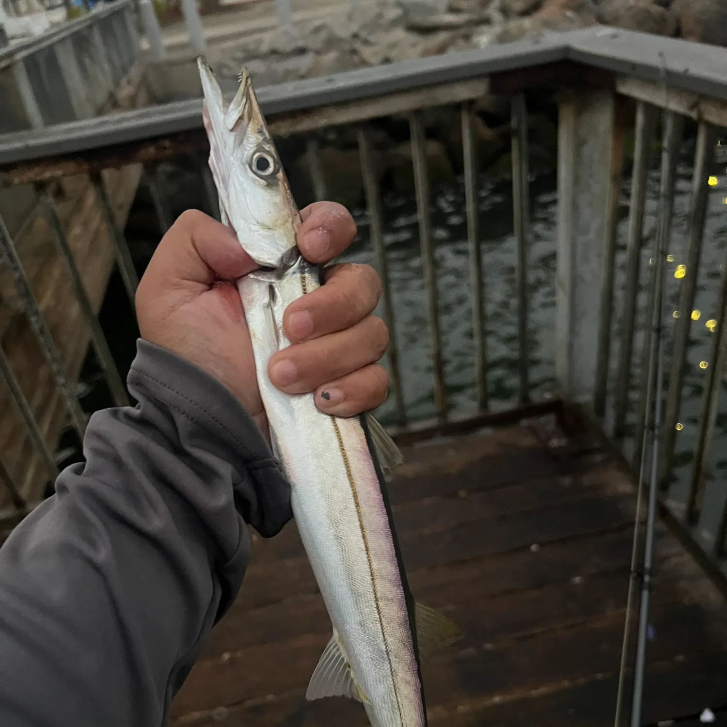 catch