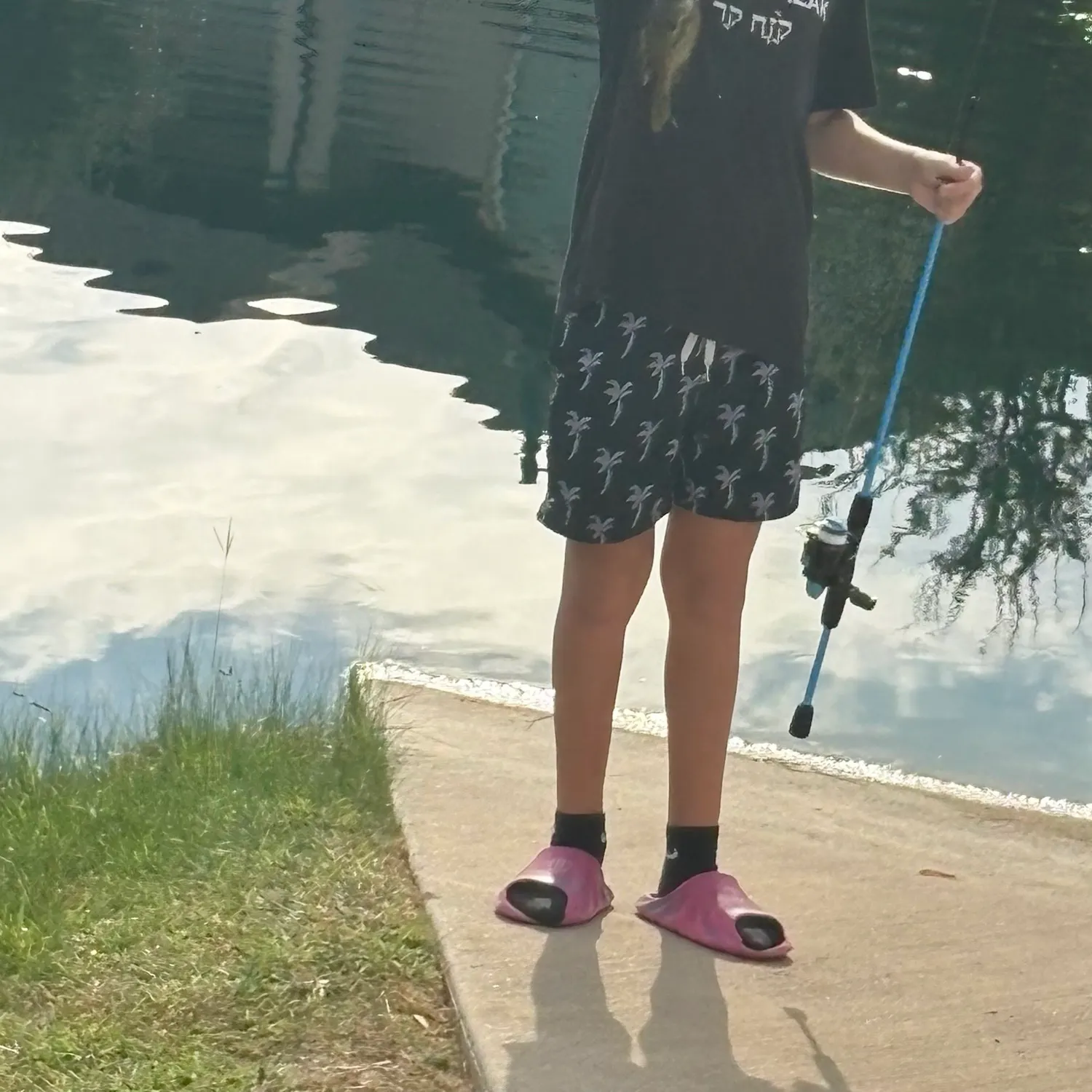 Fish caught on Fishbrain