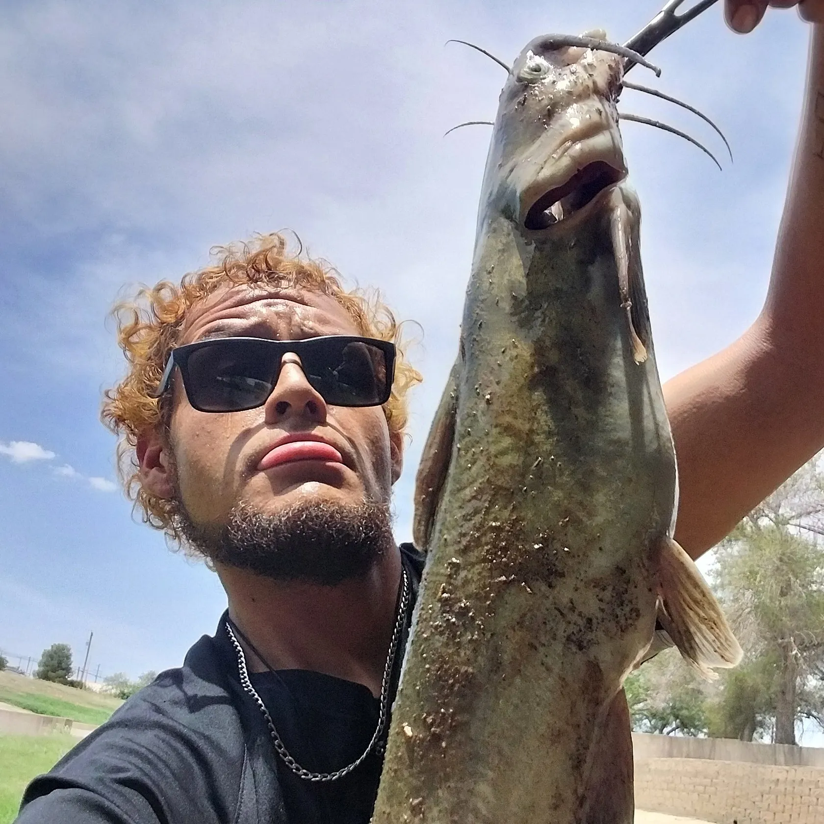 Channel catfish caught on Fishbrain