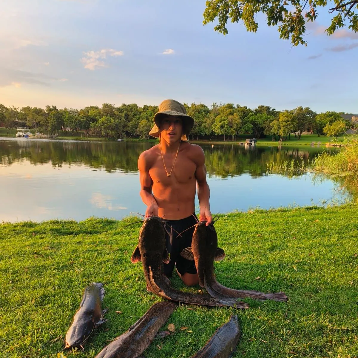 The most recent North African catfish catches on Fishbrain