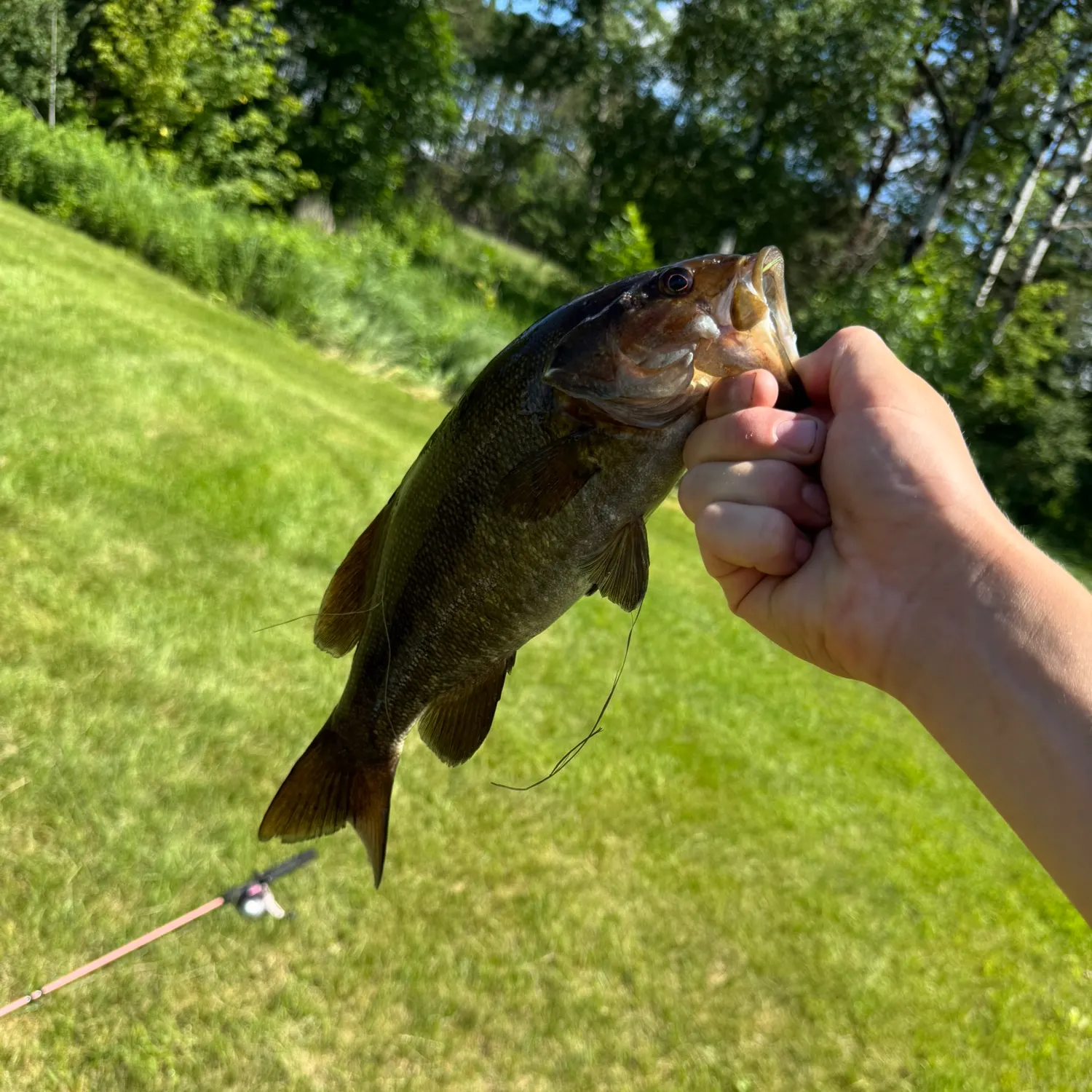 catch