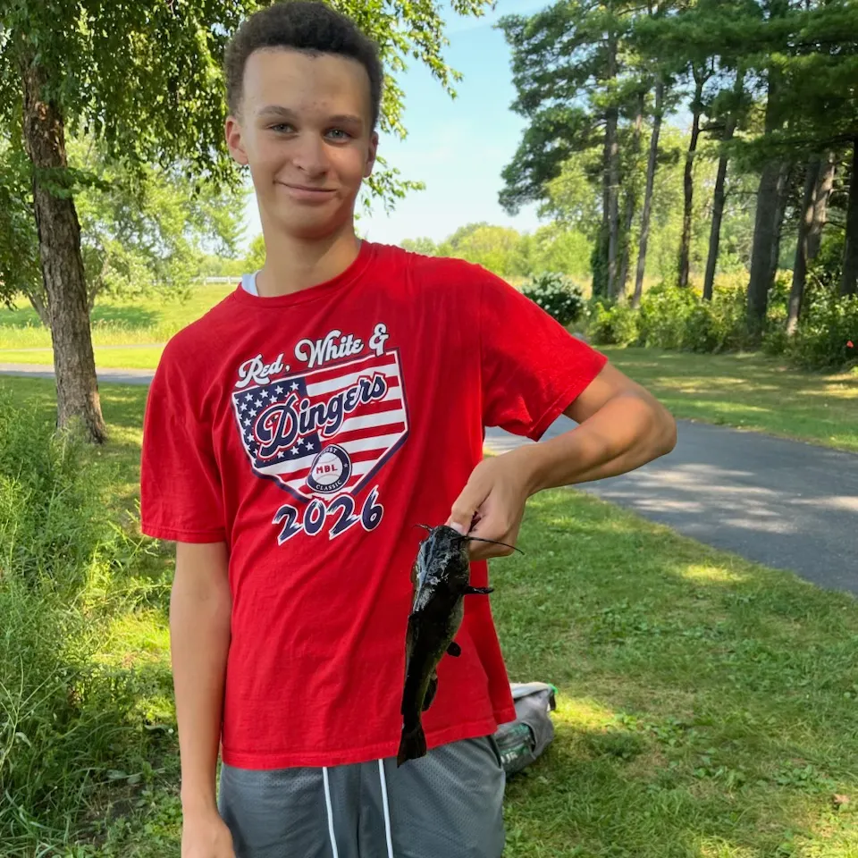Black bullhead caught on Fishbrain