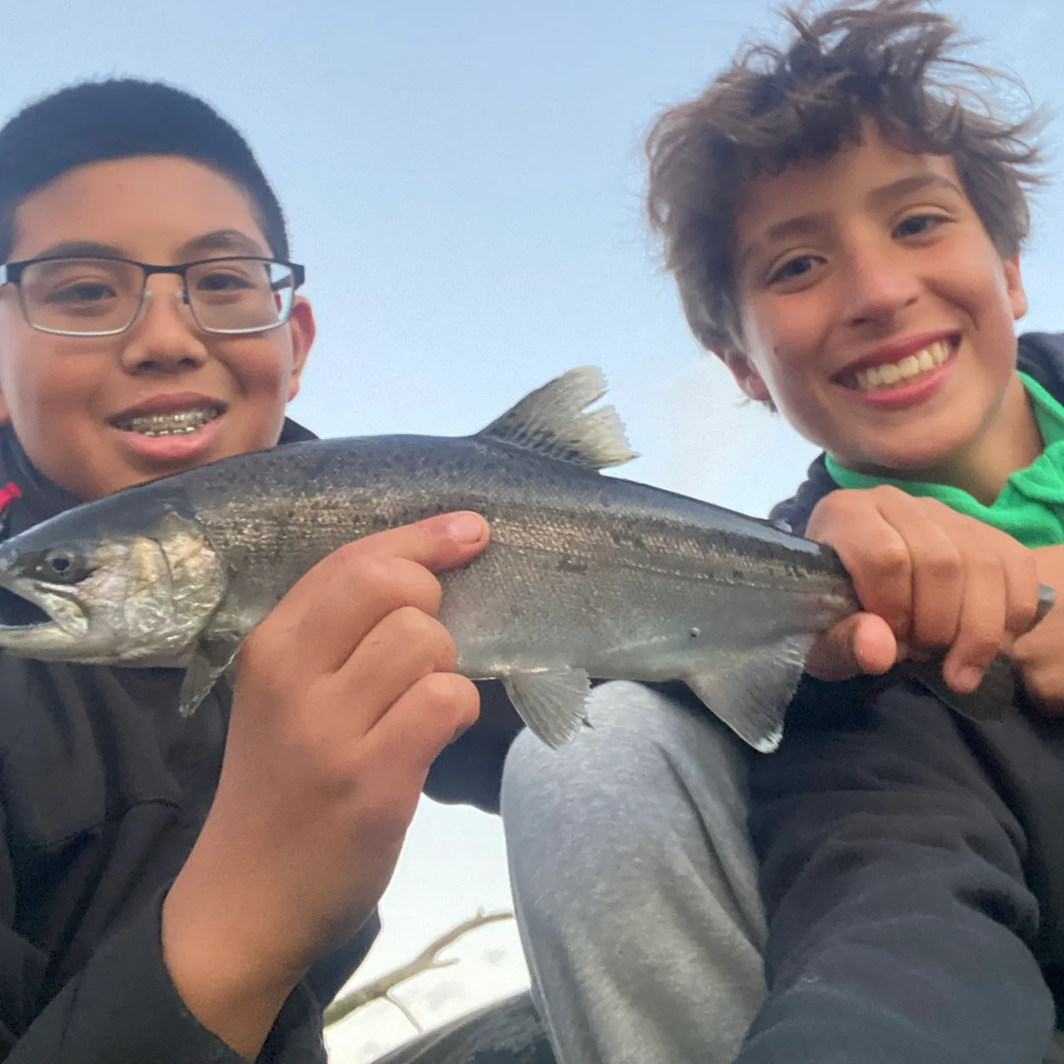 The most recent Pink salmon catches on Fishbrain