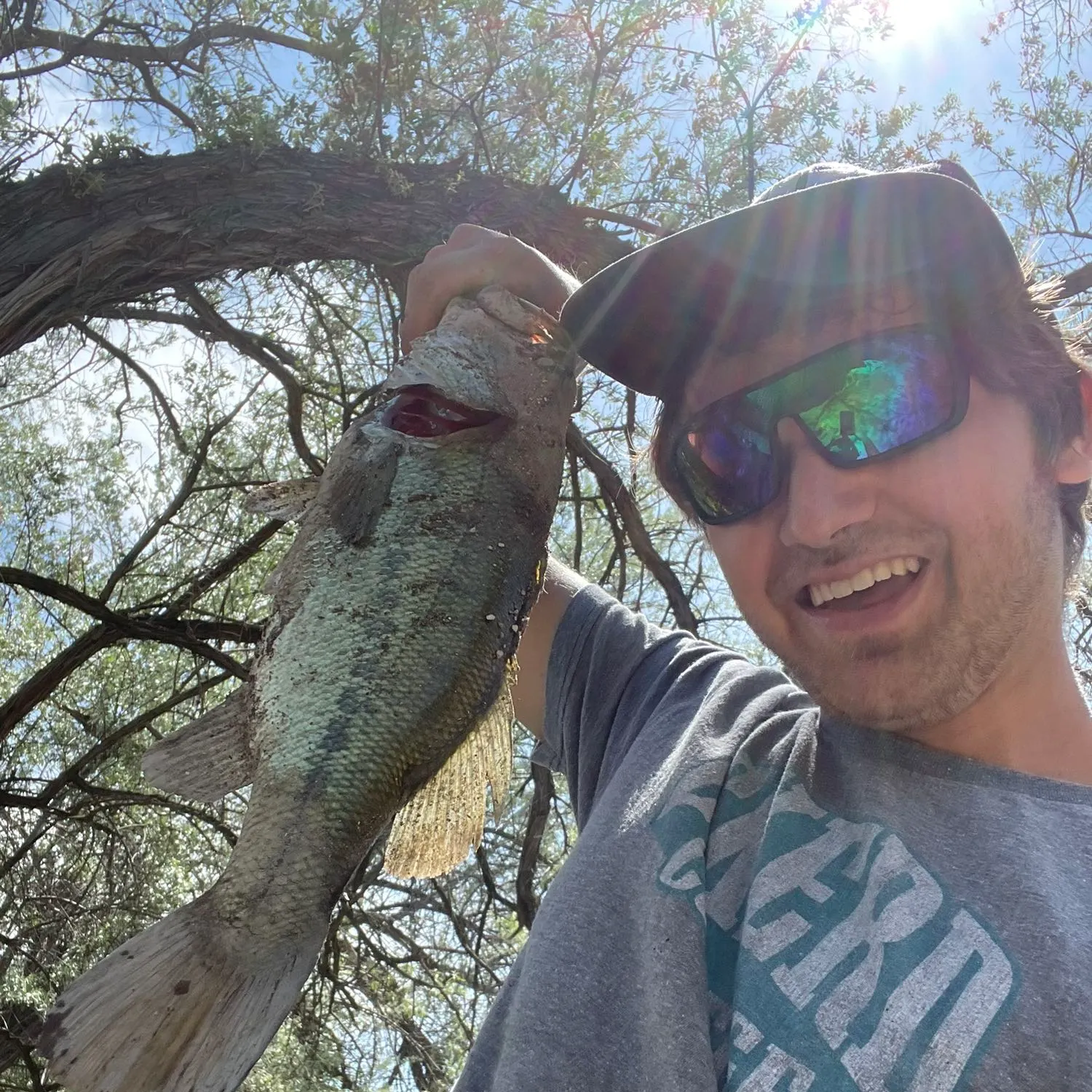angler catch