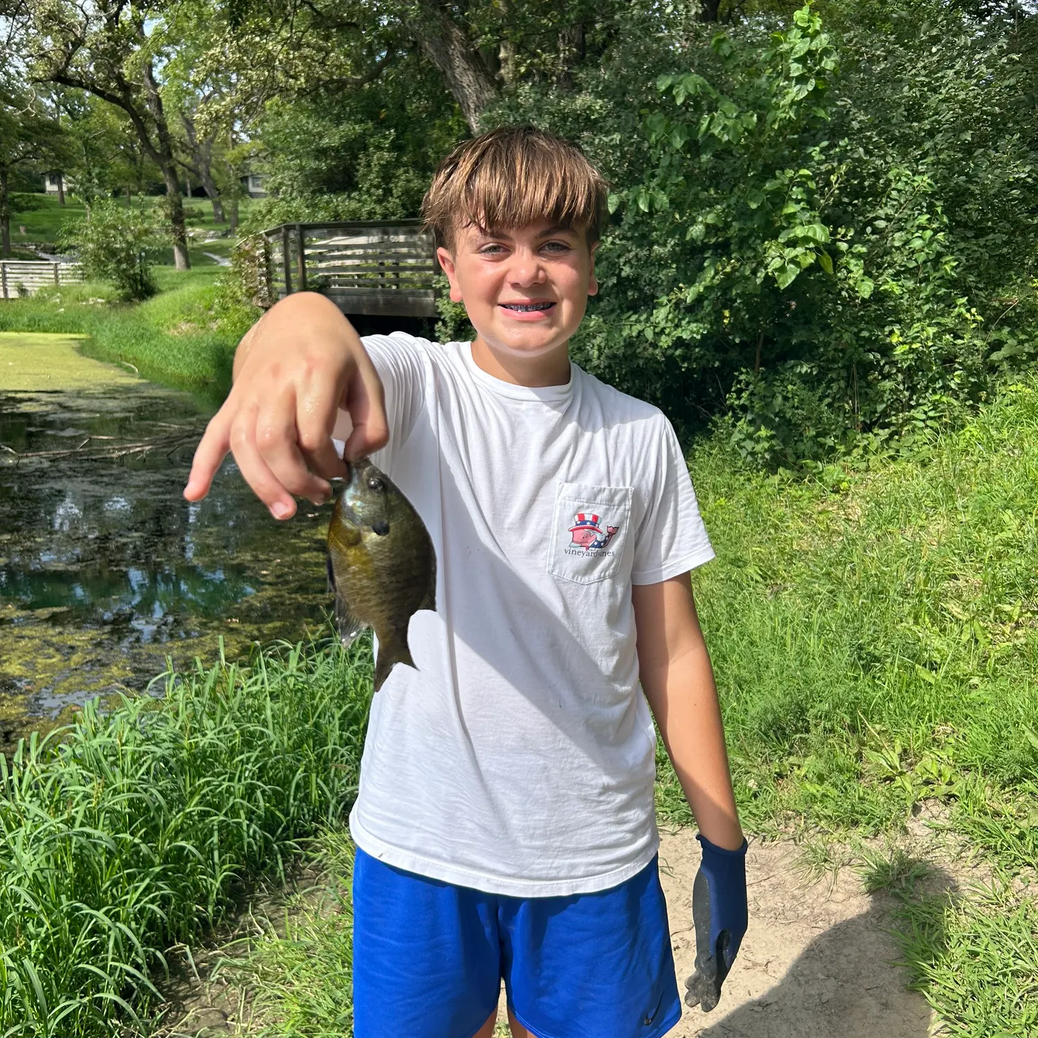 Bluegill caught on Fishbrain