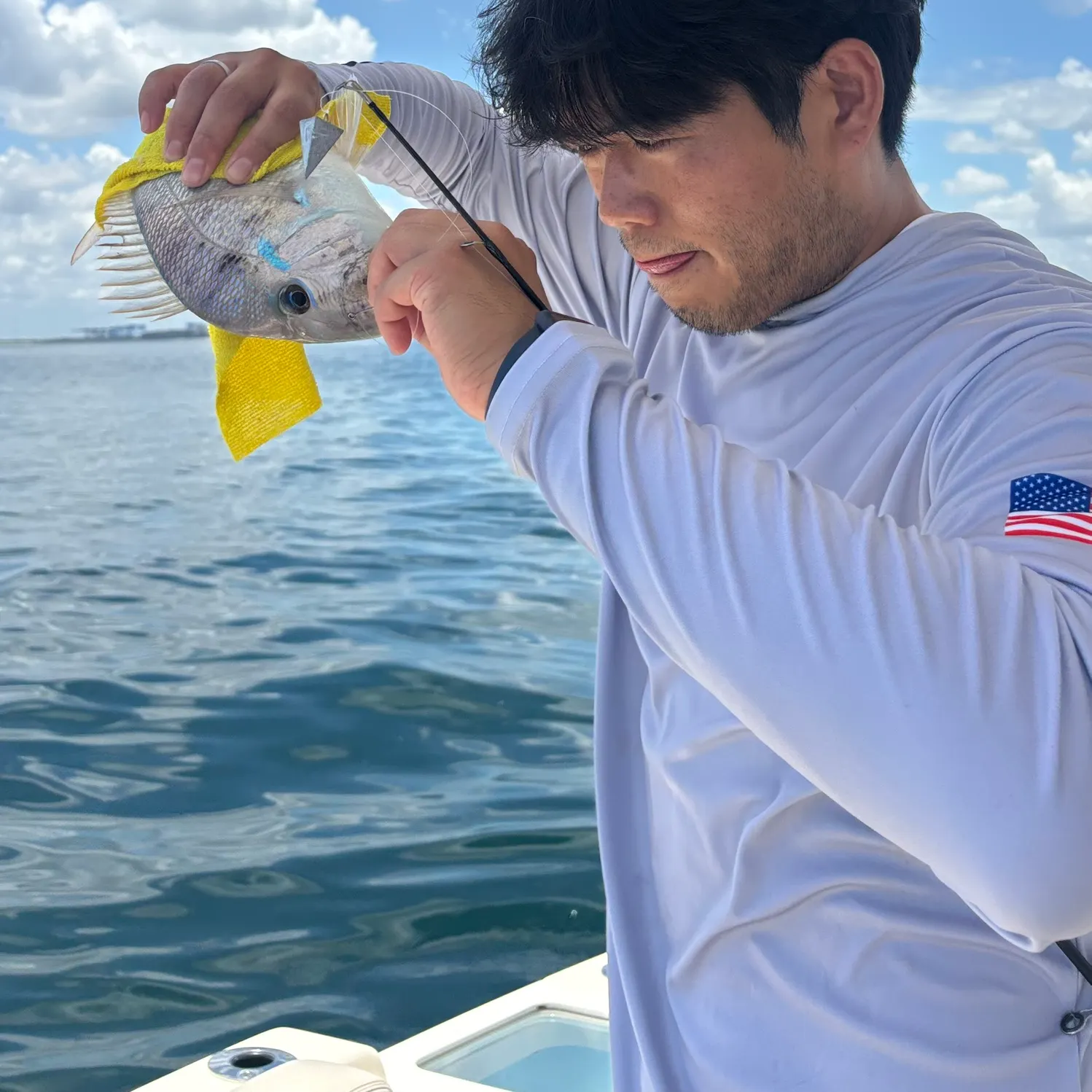 The most recent Blackhead seabream catches on Fishbrain