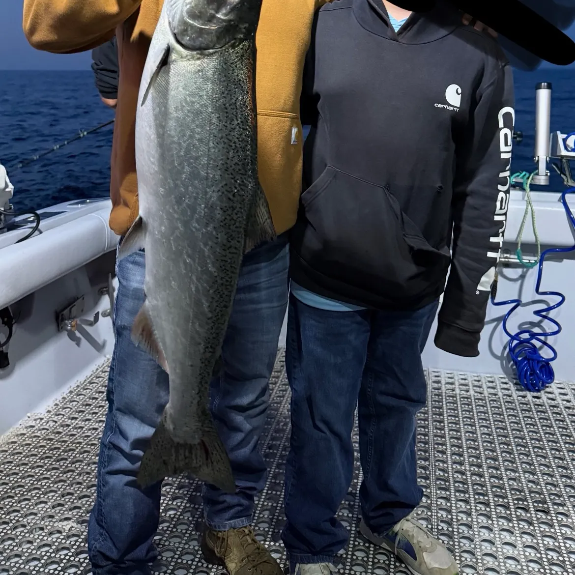 Fish caught on Fishbrain