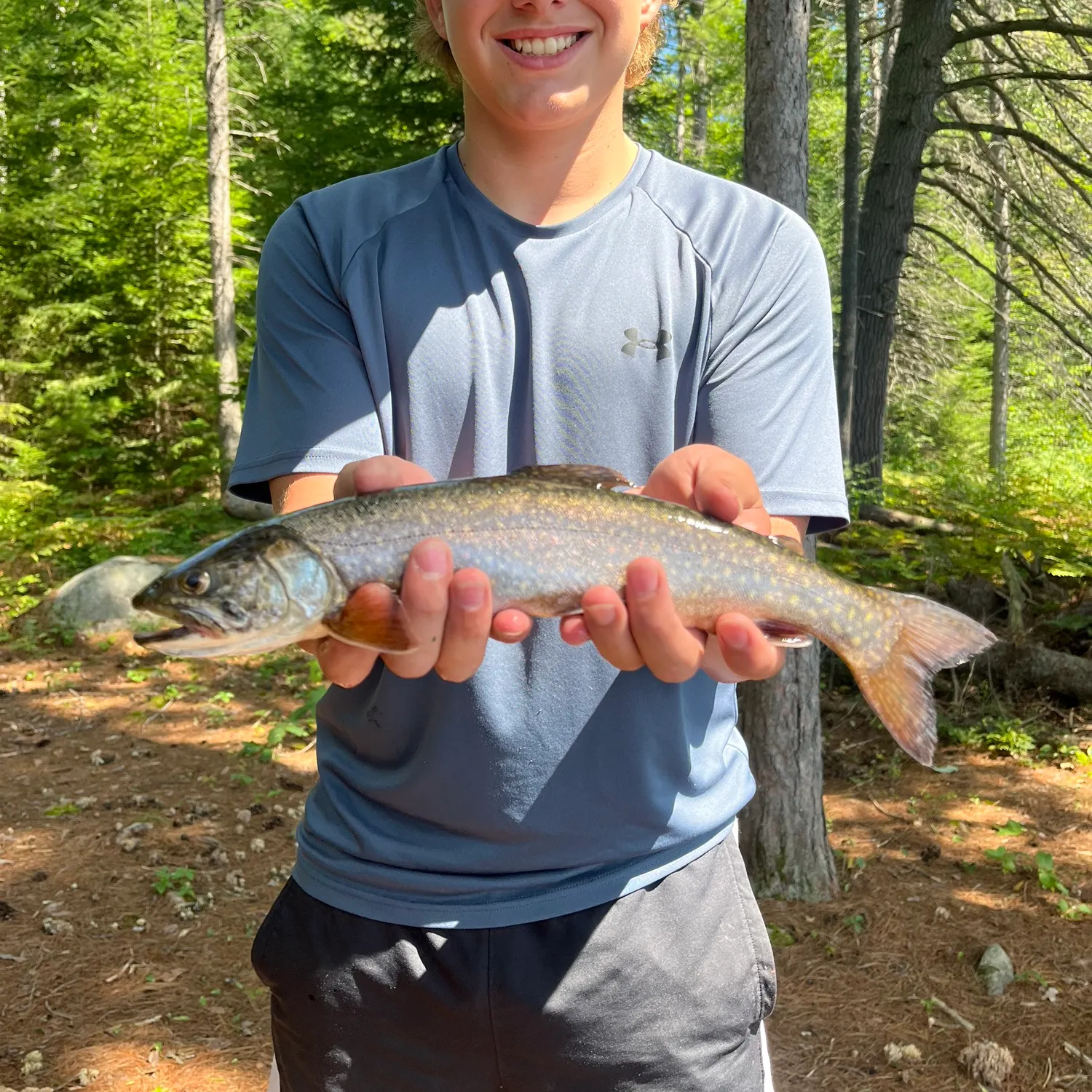 The most recent Splake catches on Fishbrain