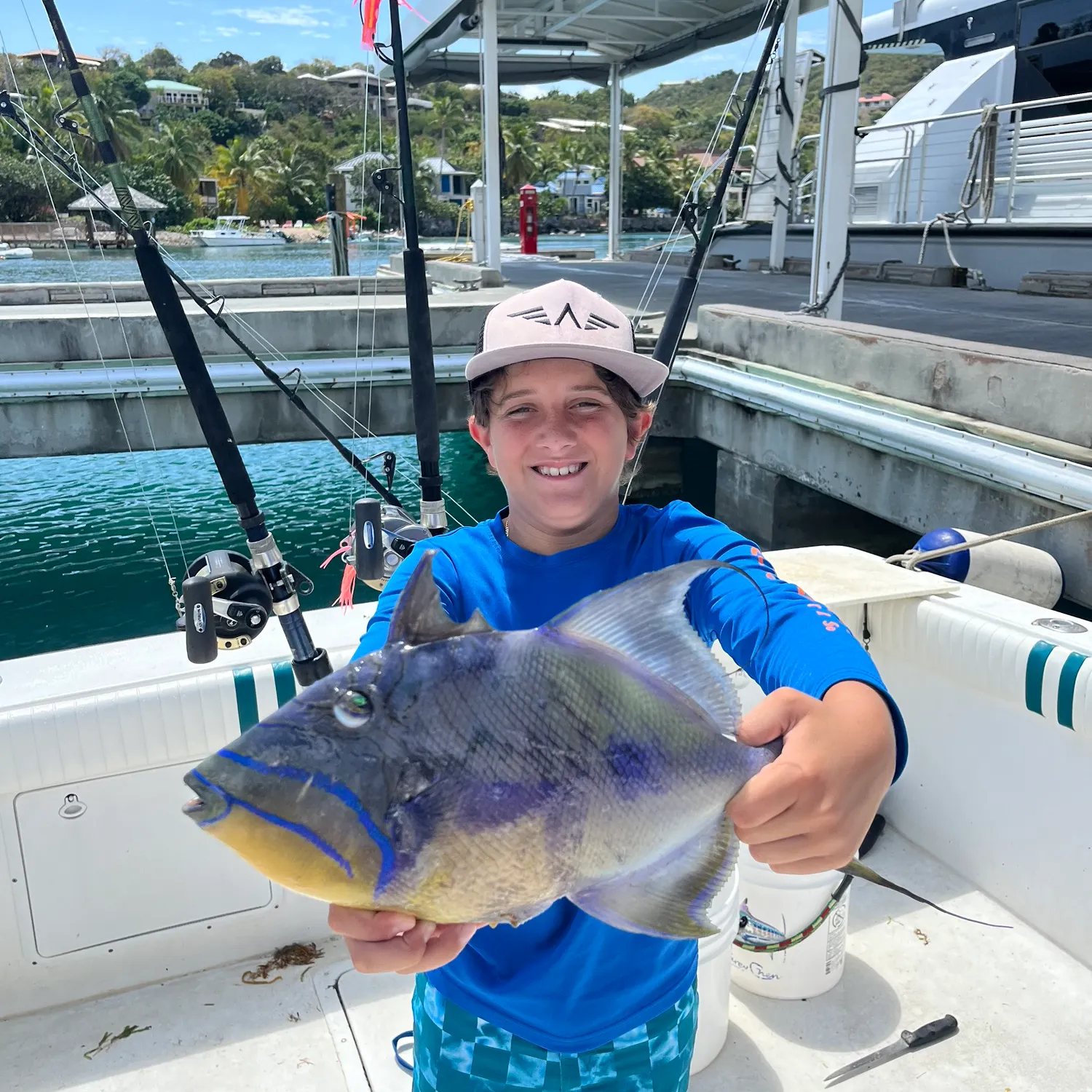 The most popular recent Queen triggerfish catch on Fishbrain