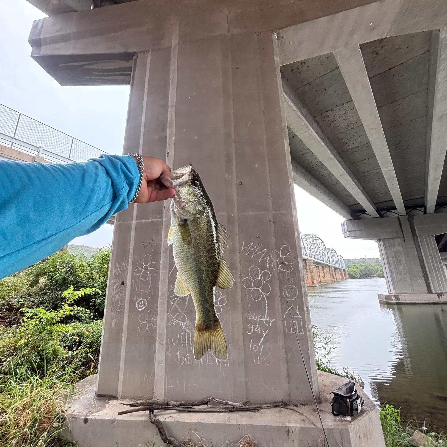 Largemouth bass caught on Fishbrain