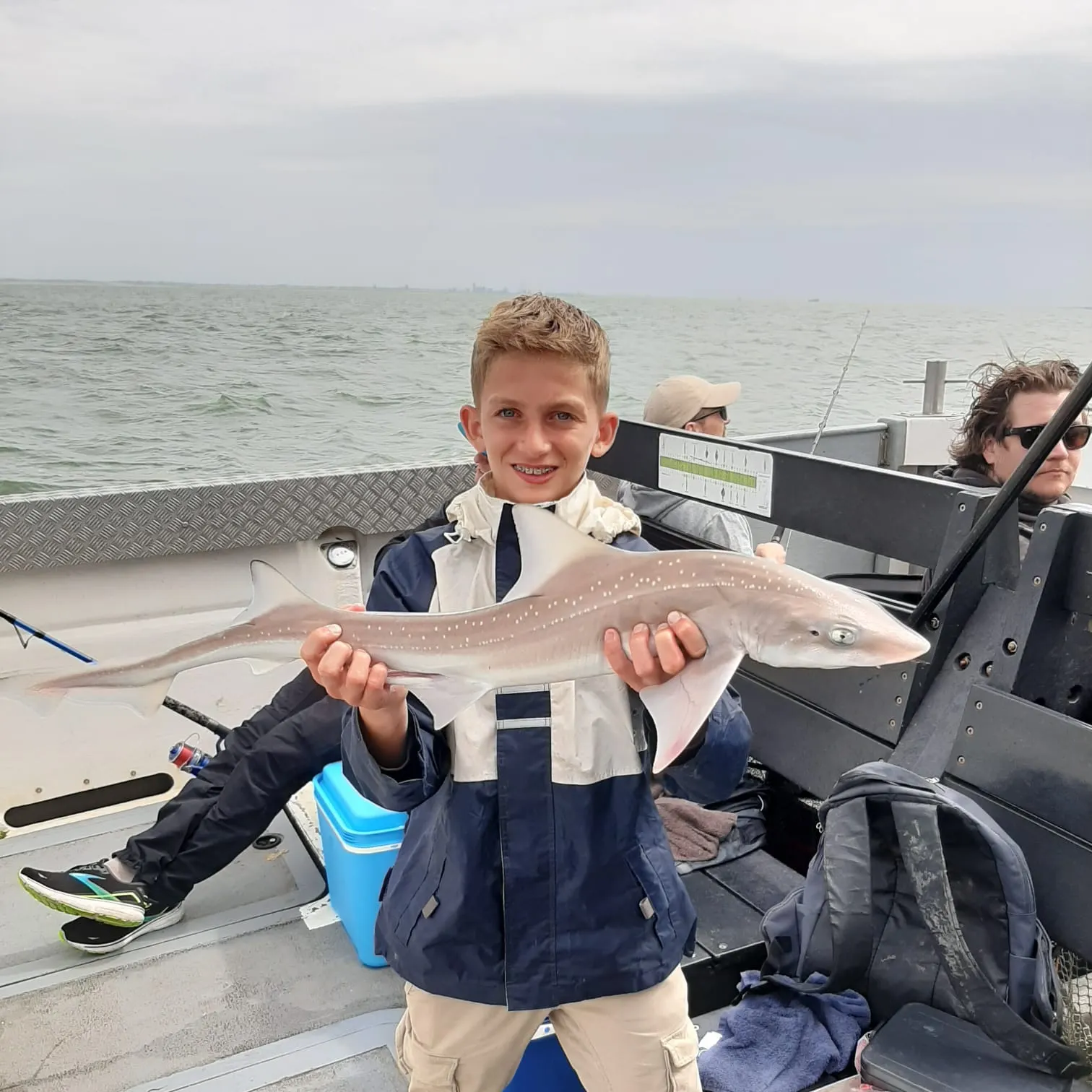 The most recent Gummy shark catches on Fishbrain