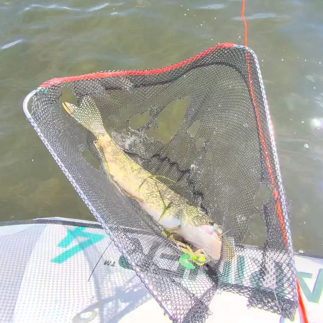 Northern pike caught on Fishbrain